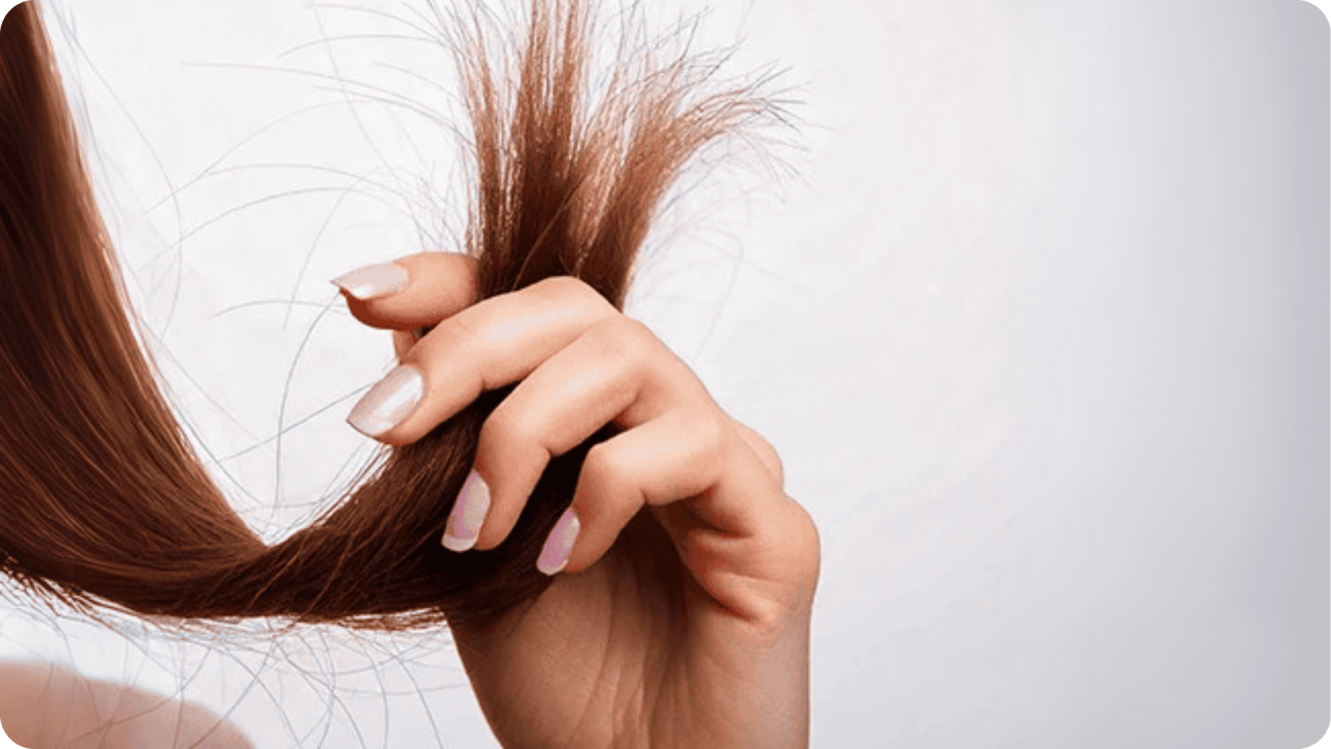 Frau hält Haarspitzen in die Höhe