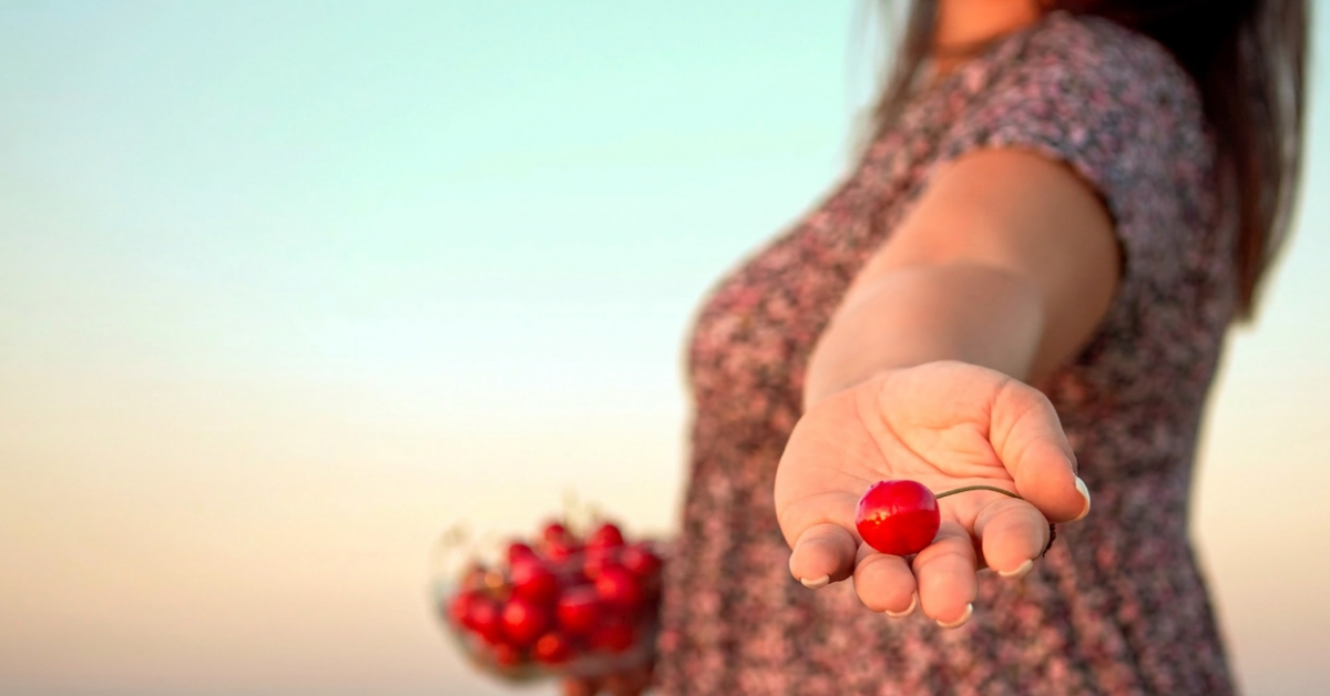 „Frische rote Sauerkirsche in der ausgestreckten Hand – Symbol für natürliche Inhaltsstoffe und gesundheitliches Potenzial der Montmorency-Sauerkirsche