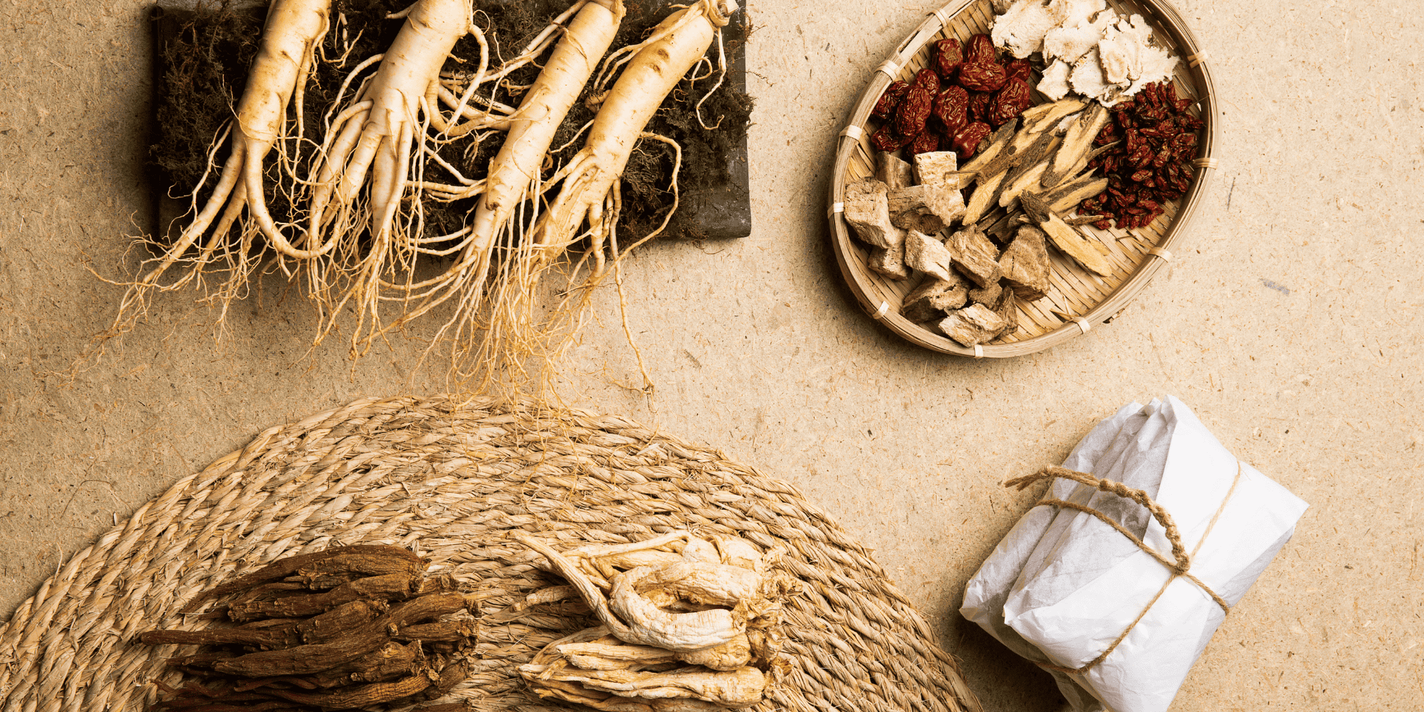 Titelbild-Ginseng