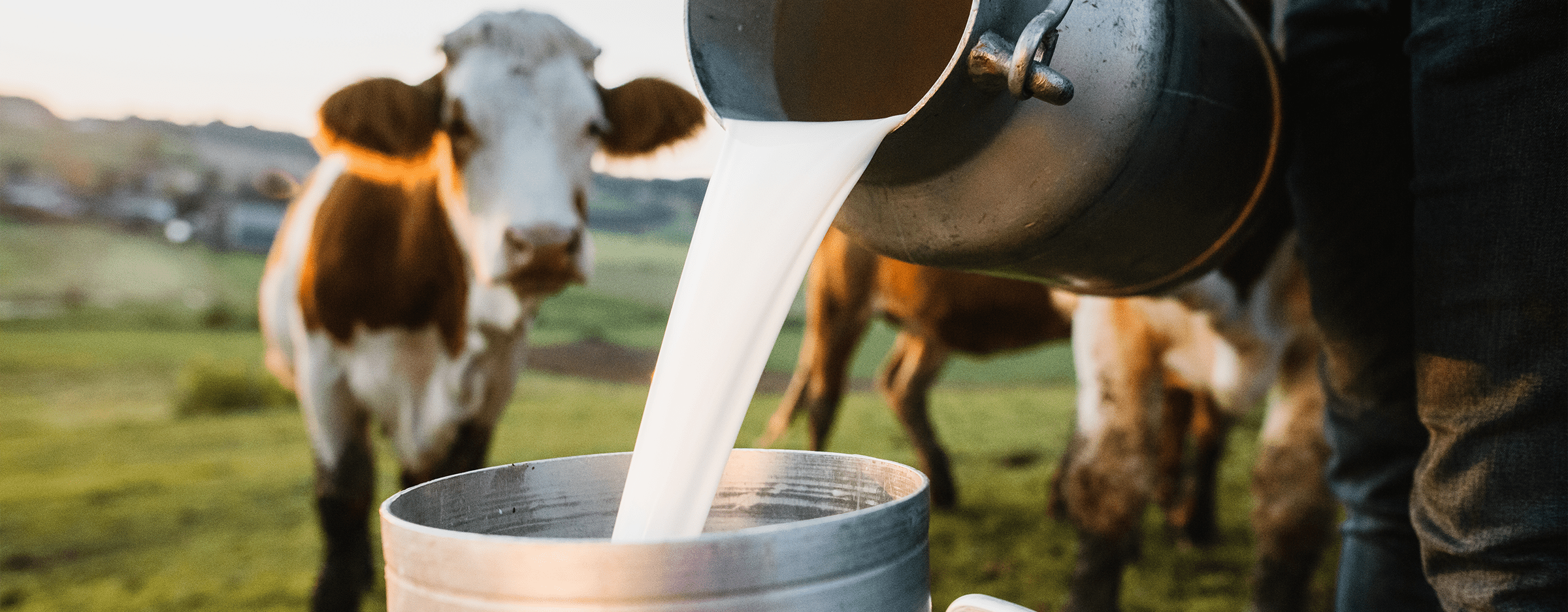 Warum kann ich keine Milch vertragen? Einführung in Laktoseintoleranz - Cellavent Healthcare