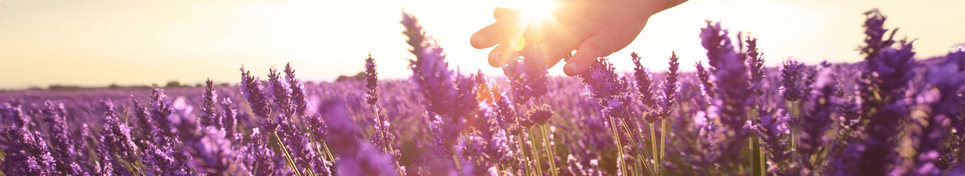 kindgesund - Aromatherapie - Cellavent Healthcare