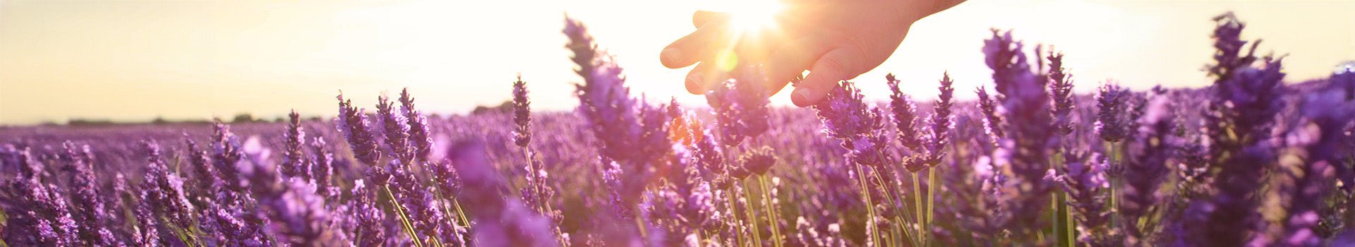 kindgesund -  Sparpakete - Aroma-Care - Cellavent Healthcare