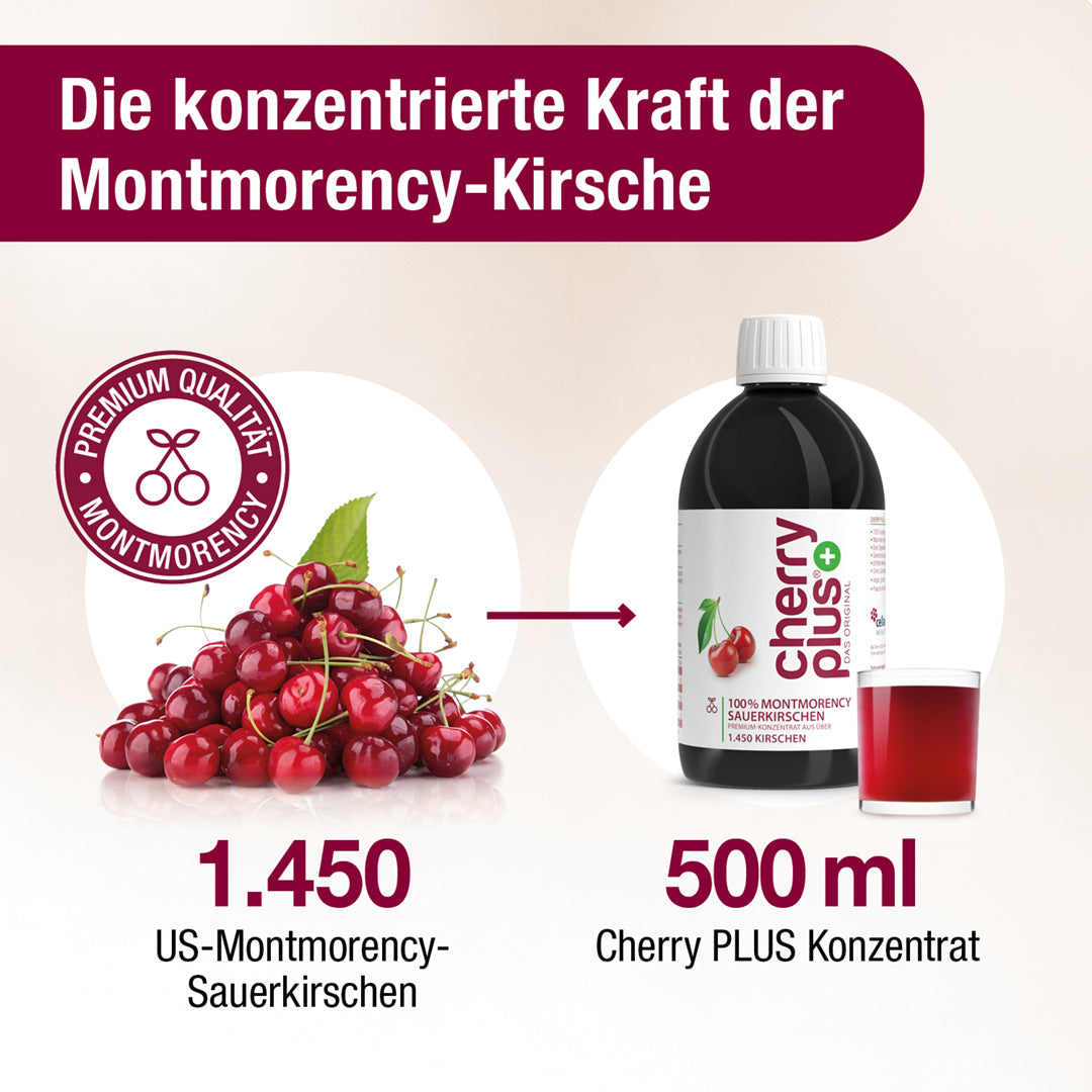 Infografik: 1.450 Montmorency-Sauerkirschen ergeben eine 500-ml-Flasche Cherry PLUS Konzentrat