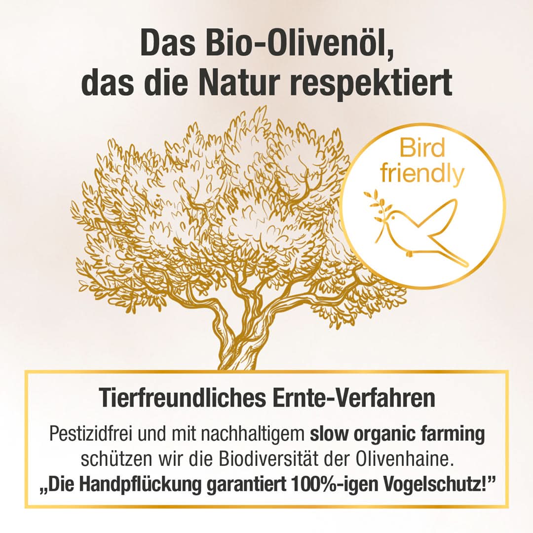Ultra High Phenolic Olivenöl - O'Liv PLUS - Cellavent Healthcare