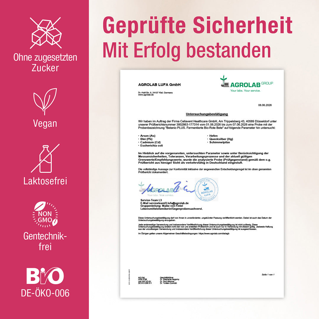 Das Bio Rote - Bete - Konzentrat - Betanio PLUS - Cellavent Healthcare