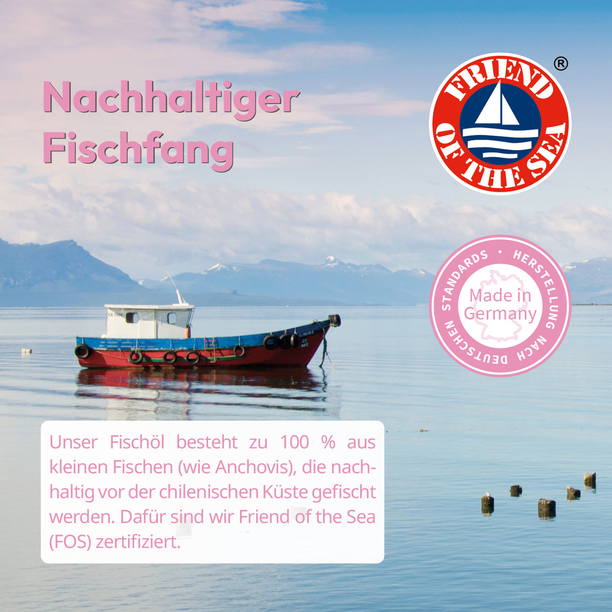 Fischerboot vor der chilenischen Küste: Fischöl aus Wildfang, zertifiziert nach Friend of the Sea