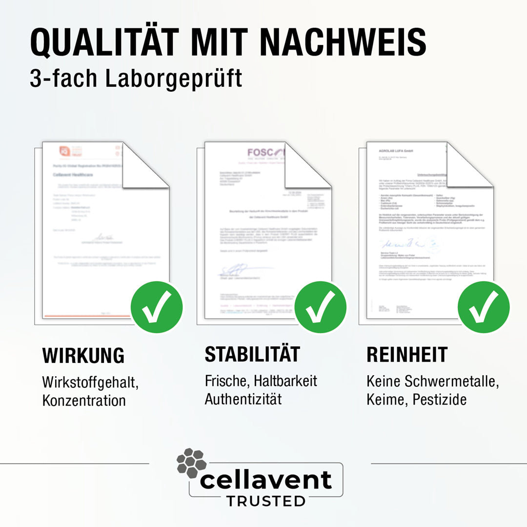 Bioaktiver Ingwer-Extrakt - Gingerin PLUS