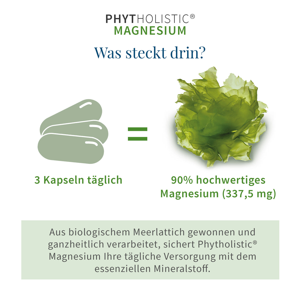 Phytholistic Magnesium: drei Kapseln täglich liefern 337,5 mg Magnesium aus Bio-Meerlattich