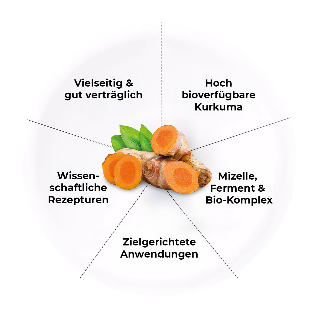 Kurkuma-Wurzel in der Mitte und um herum sind die 5 wichtigsten Punkte