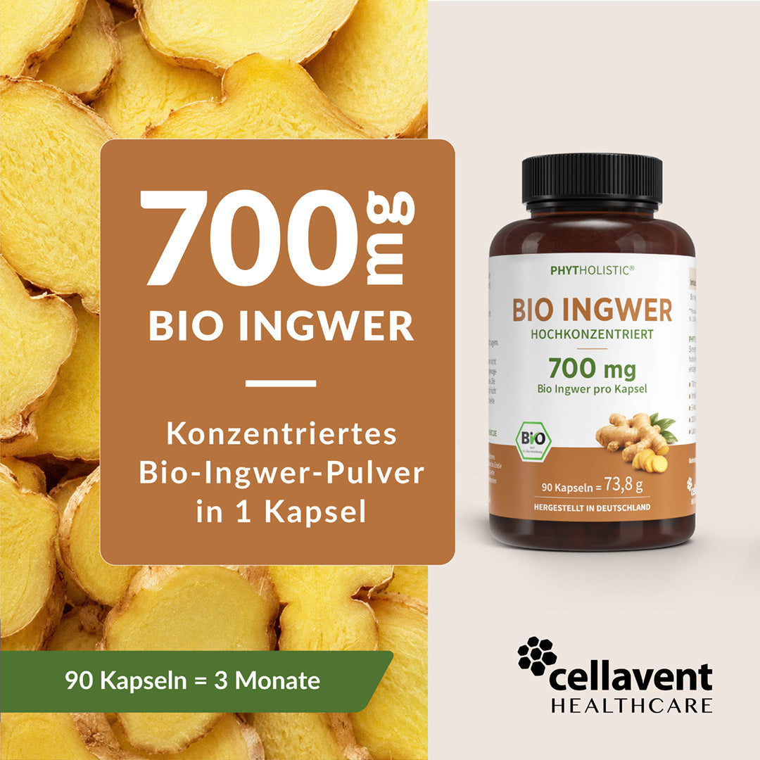 Bio Ingwer Phytholistic - Cellavent Healthcare