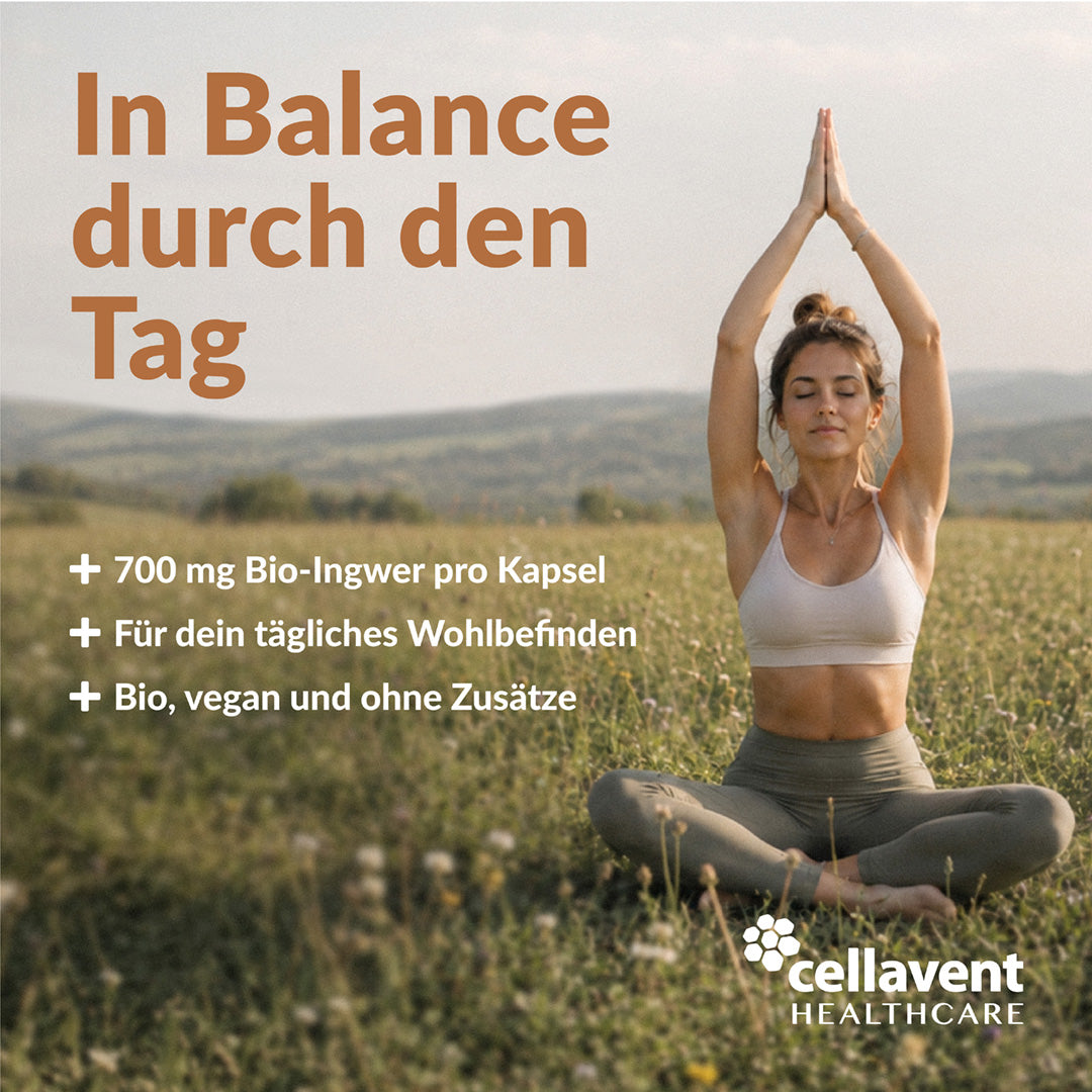 Bio Ingwer Phytholistic - Cellavent Healthcare