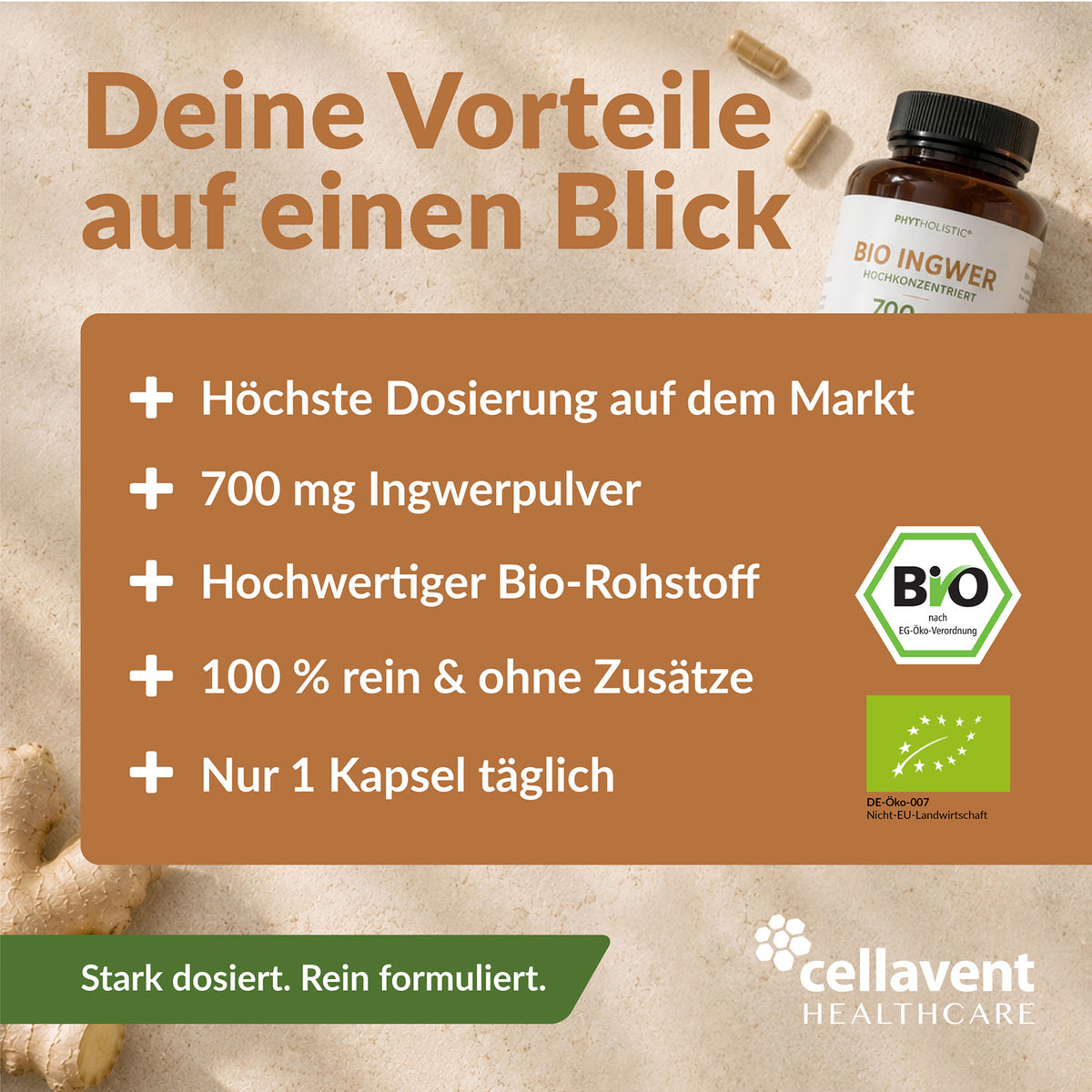 Bio Ingwer Phytholistic - Cellavent Healthcare