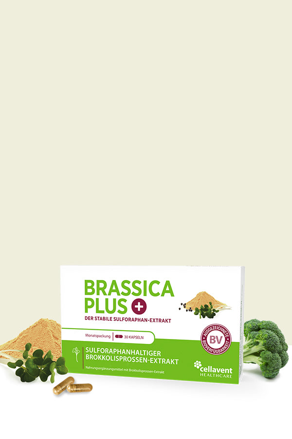 Im Bild wird eine Packung Brassica PLUS abgebildet. Links vor der Packung liegt eine Brokkolisprosse und daneben eine Kapsel Brassica PLUS - mobile Variante.