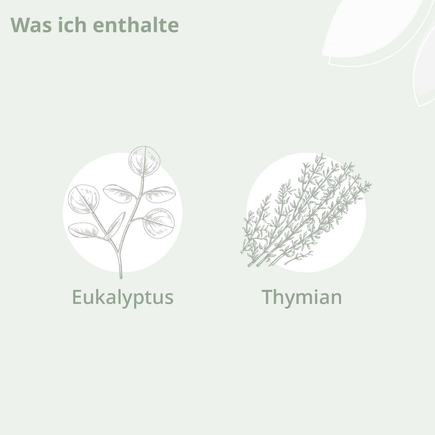 Bio - Atme Wohl Aroma Balsam - Cellavent Healthcare