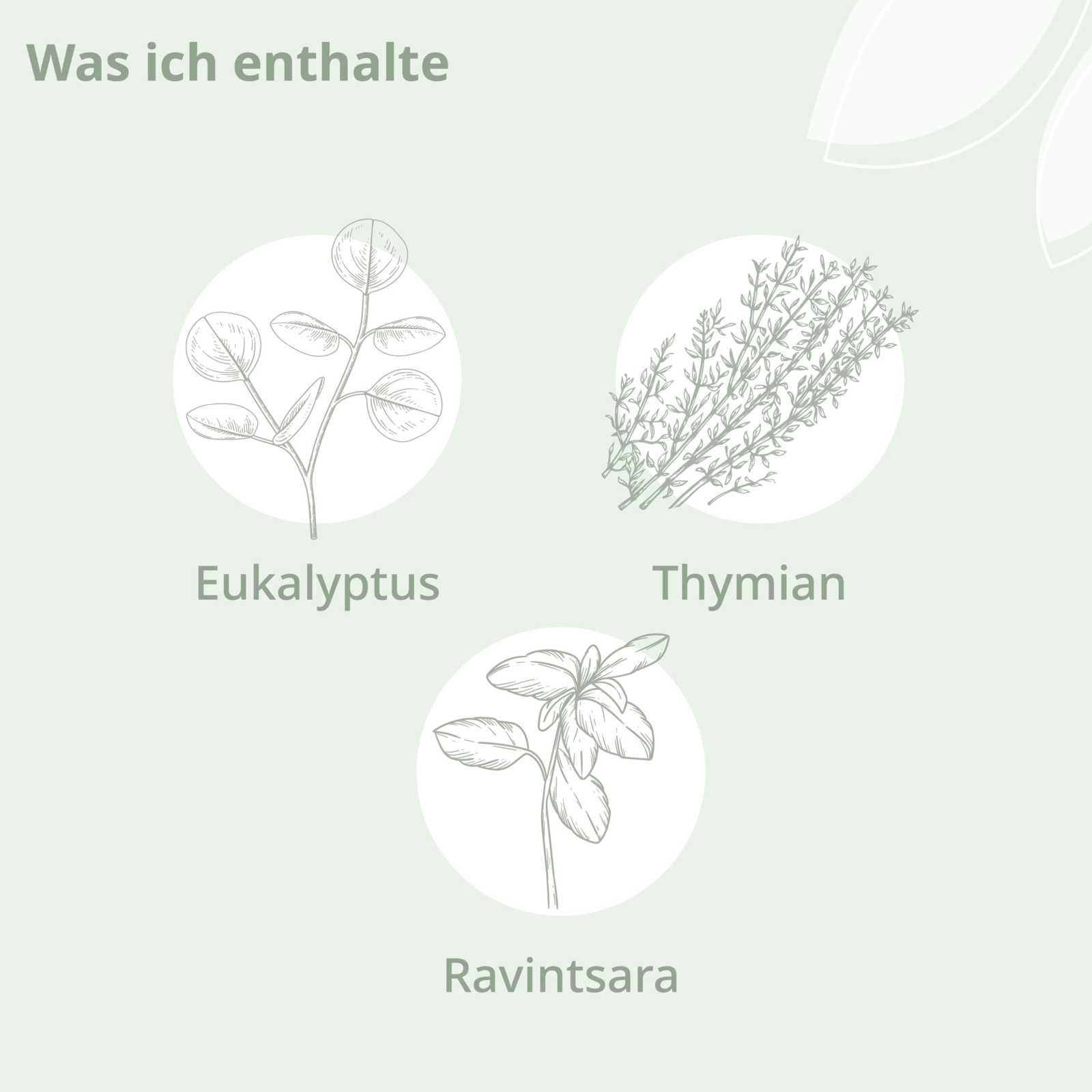 Bio - Atme Wohl Aroma Öl - Cellavent Healthcare