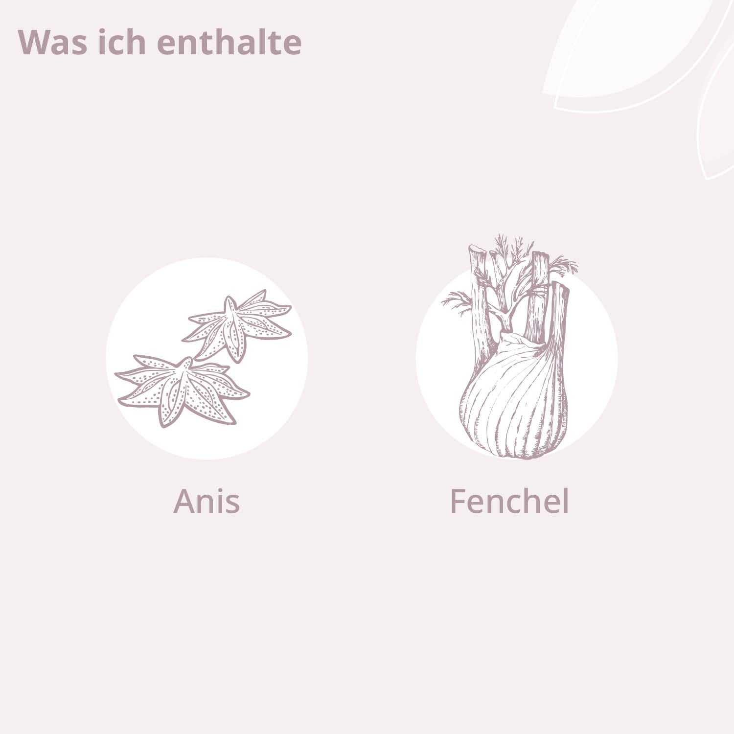 Bio - Baby Care Bauchfein Öl - Cellavent Healthcare