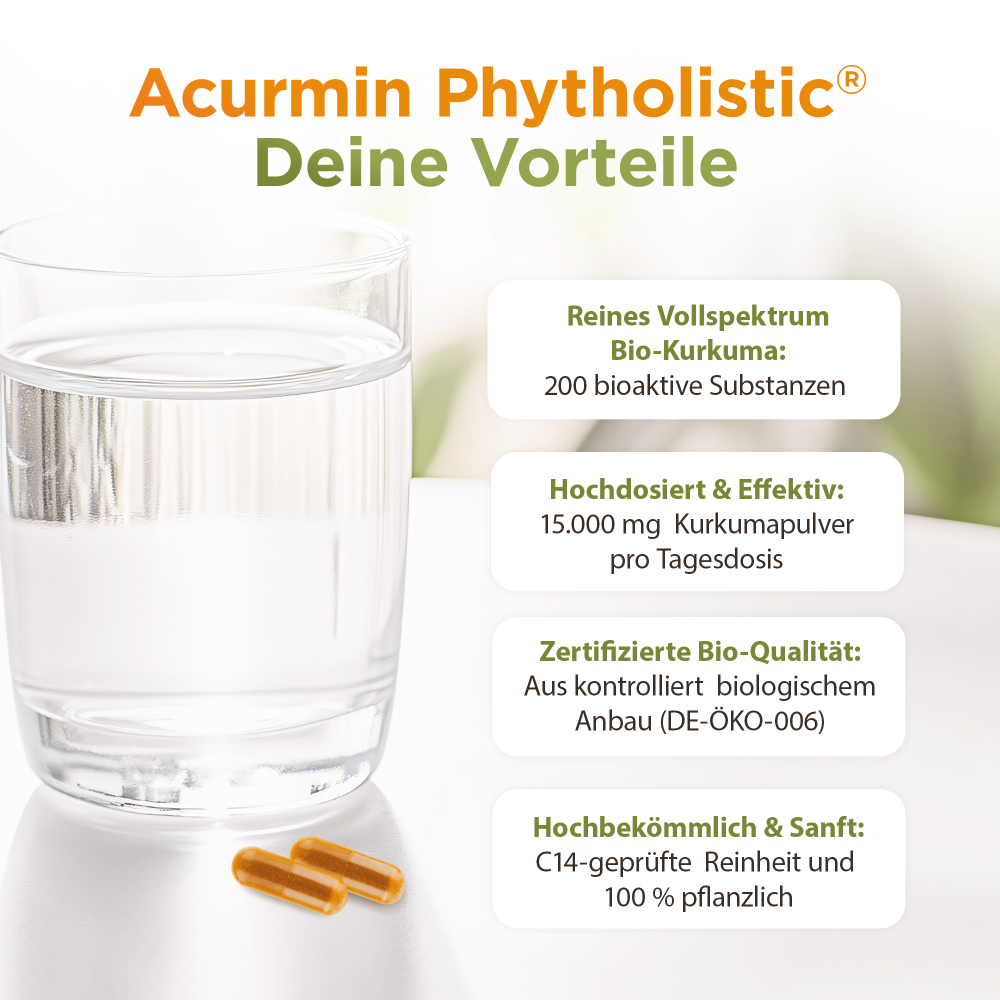 Bio Kurkuma Kapseln ohne Pfeffer – Acurmin Phytholistic - Cellavent Healthcare