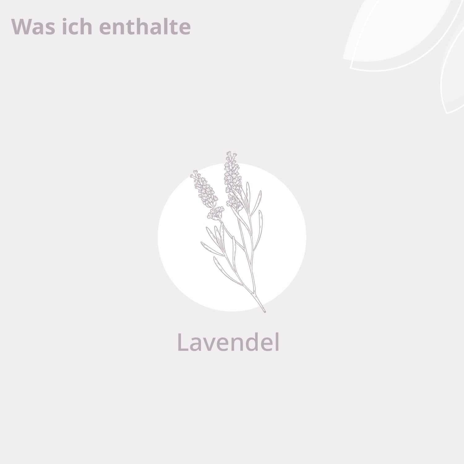 Bio - Lavendel Aroma Öl - Cellavent Healthcare