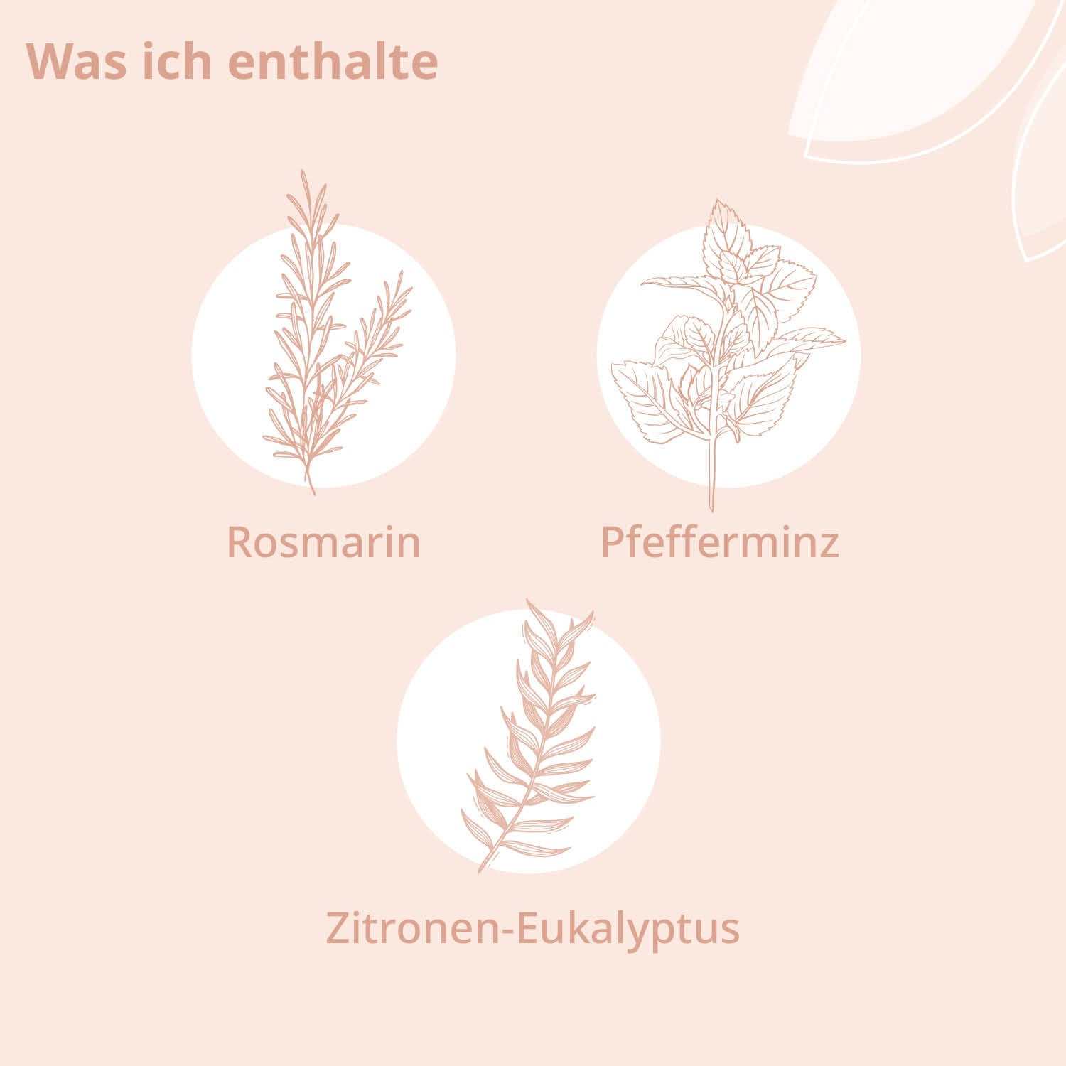 Bio - Lern Wohl Aroma Öl - Cellavent Healthcare