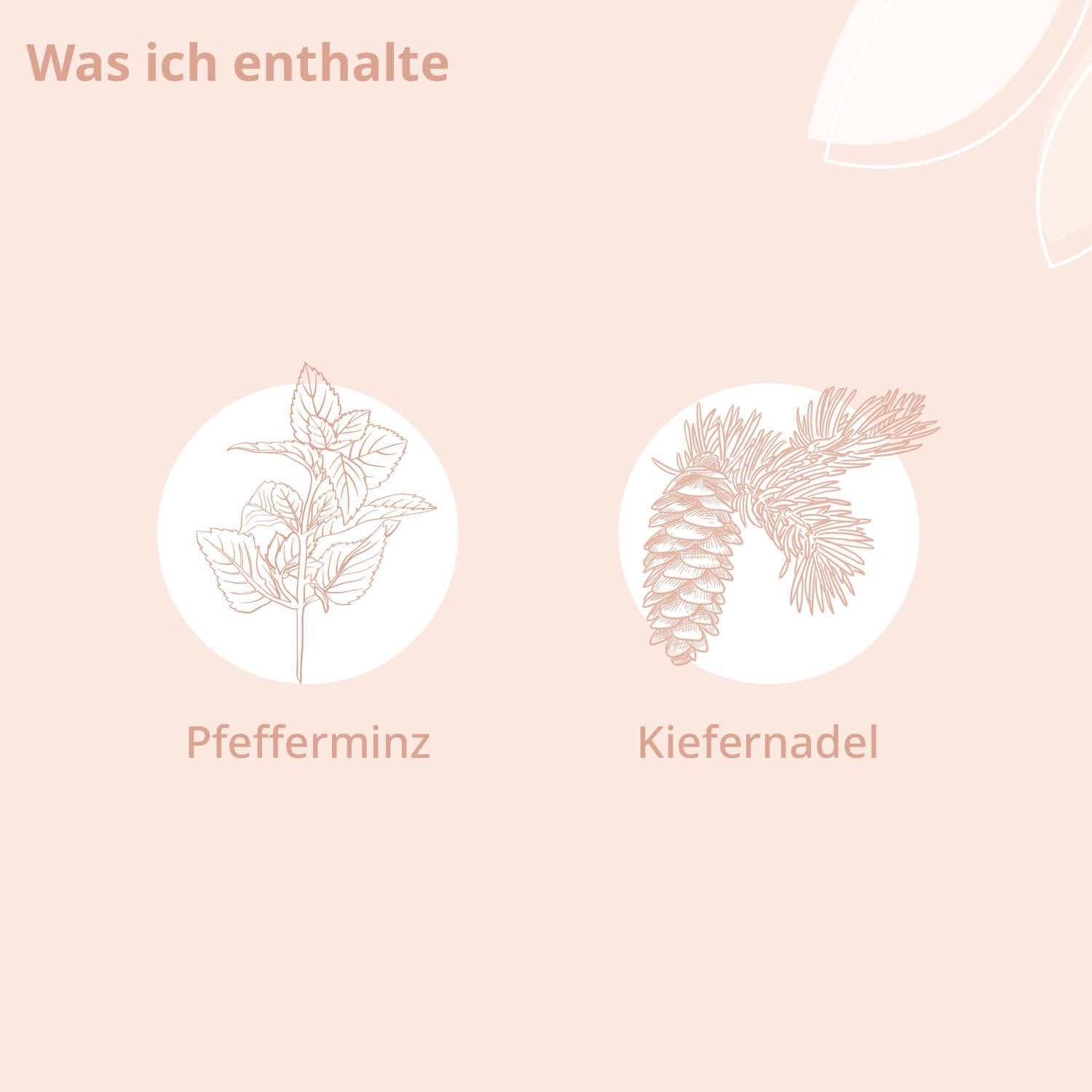 Bio - Lern Wohl Roll - On - Cellavent Healthcare