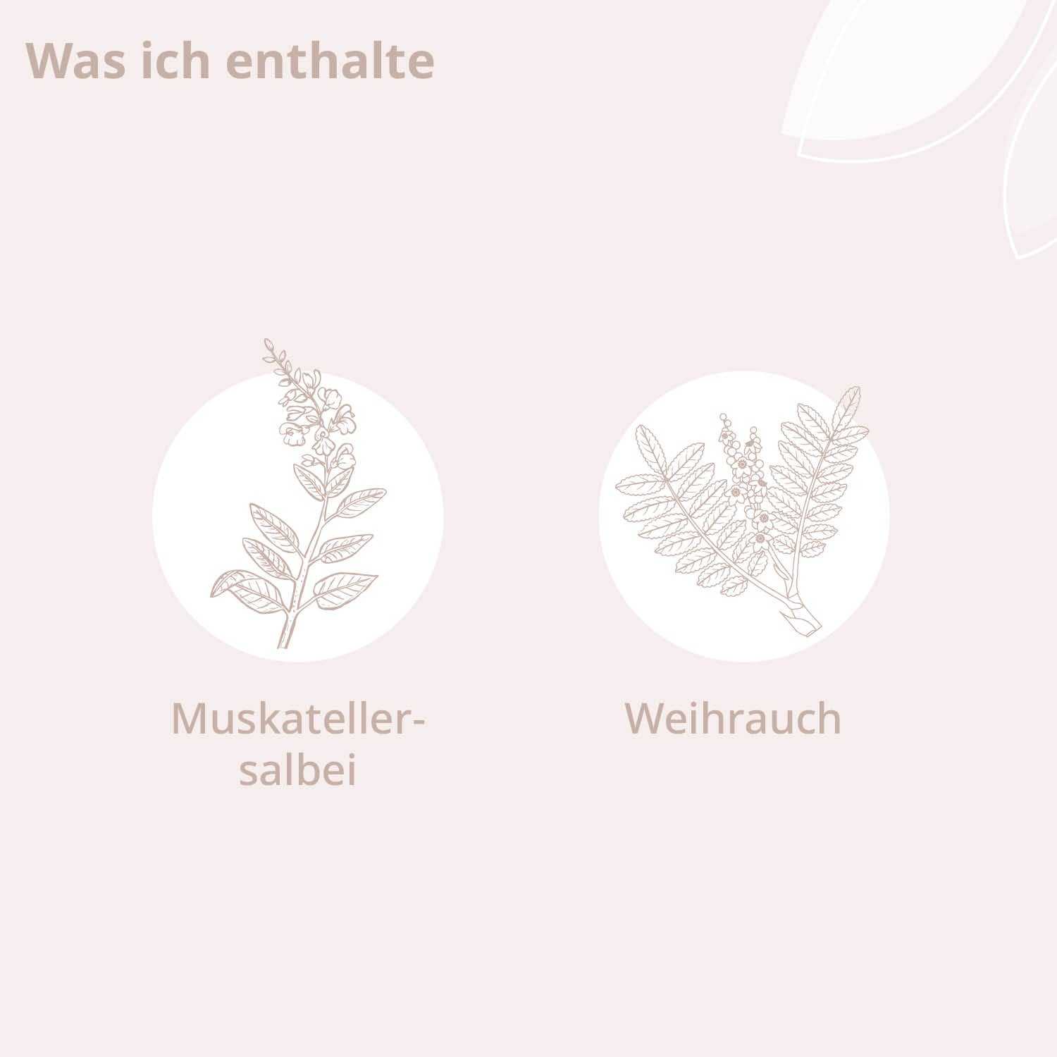 Bio - Mama Care Damm Öl - Cellavent Healthcare