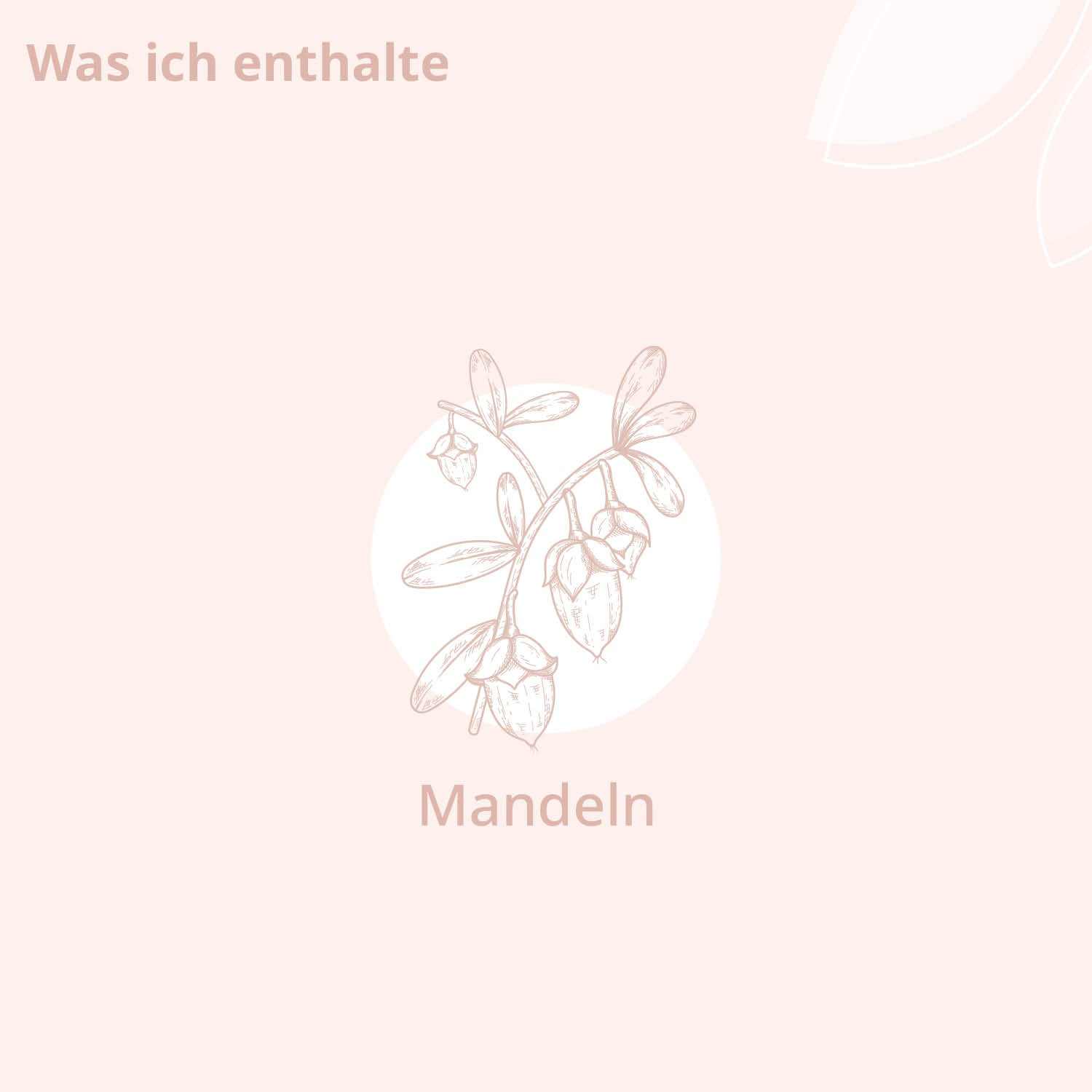 Bio - Mandelöl für Babys & Mamas - Cellavent Healthcare