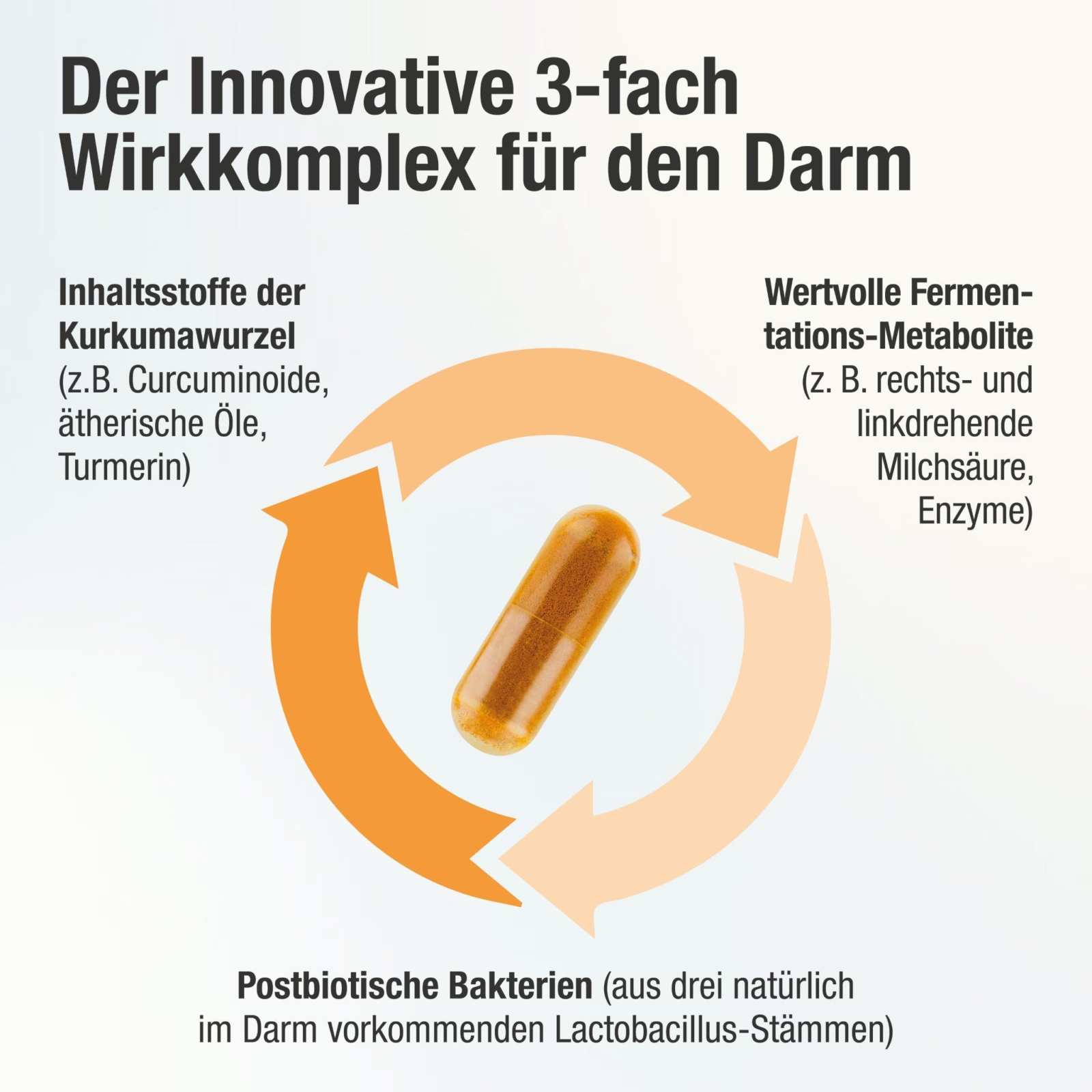 Bioaktive Kurkuma Kapseln – fermentiert & bio - zertifiziert – Acurmin ferment - Cellavent Healthcare