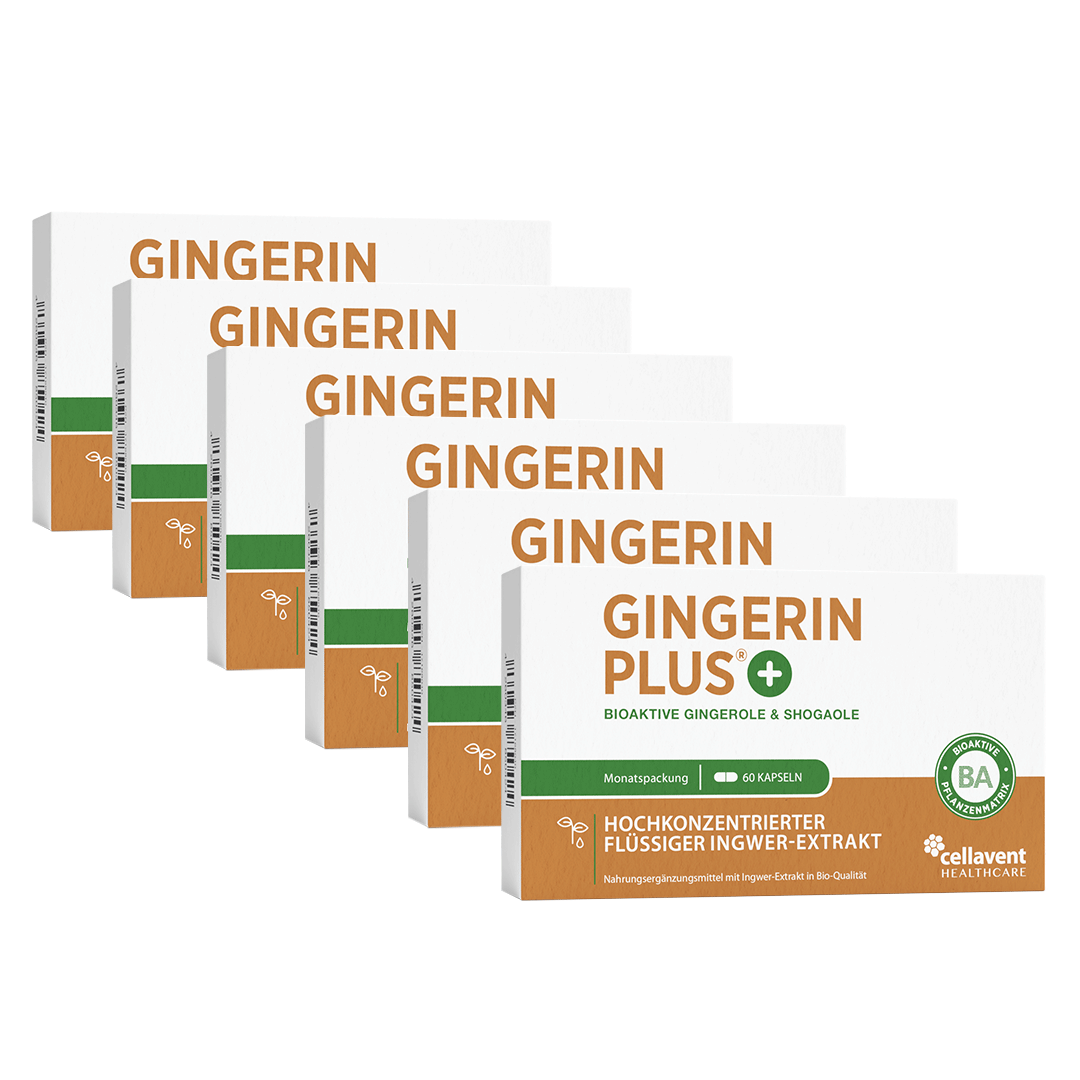 Bioaktiver Ingwer - Extrakt - Gingerin PLUS - Cellavent Healthcare