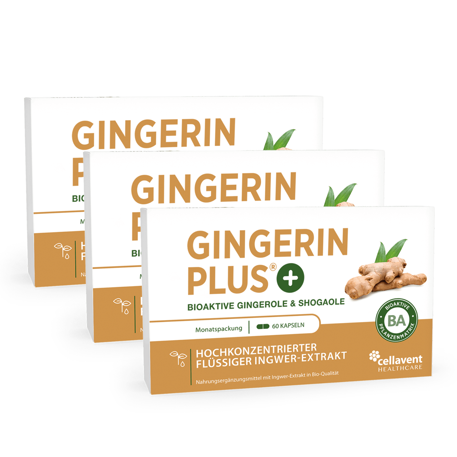 Bioaktiver Ingwer - Extrakt - Gingerin PLUS - Cellavent Healthcare