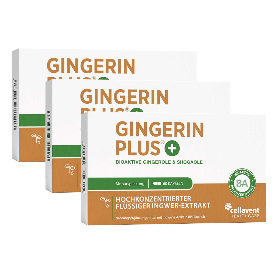Bioaktiver Ingwer - Extrakt - Gingerin PLUS - Cellavent Healthcare