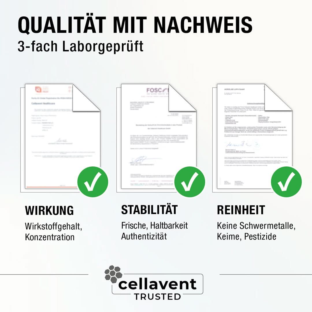 Bioaktiver Ingwer - Extrakt - Gingerin PLUS - Cellavent Healthcare