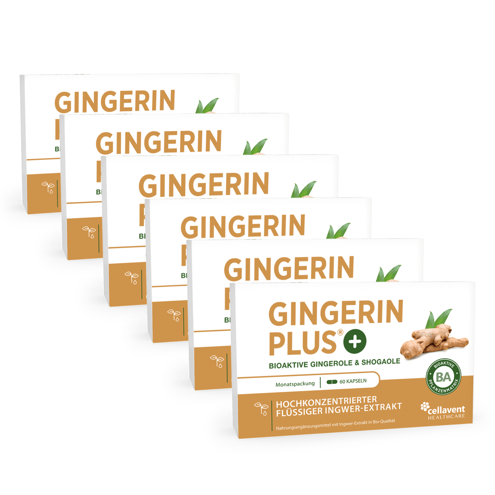 Bioaktiver Ingwer - Extrakt - Gingerin PLUS - Cellavent Healthcare