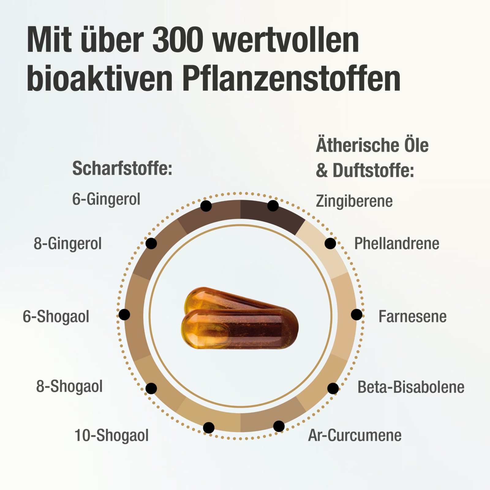 Bioaktiver Ingwer - Extrakt - Gingerin PLUS - Cellavent Healthcare
