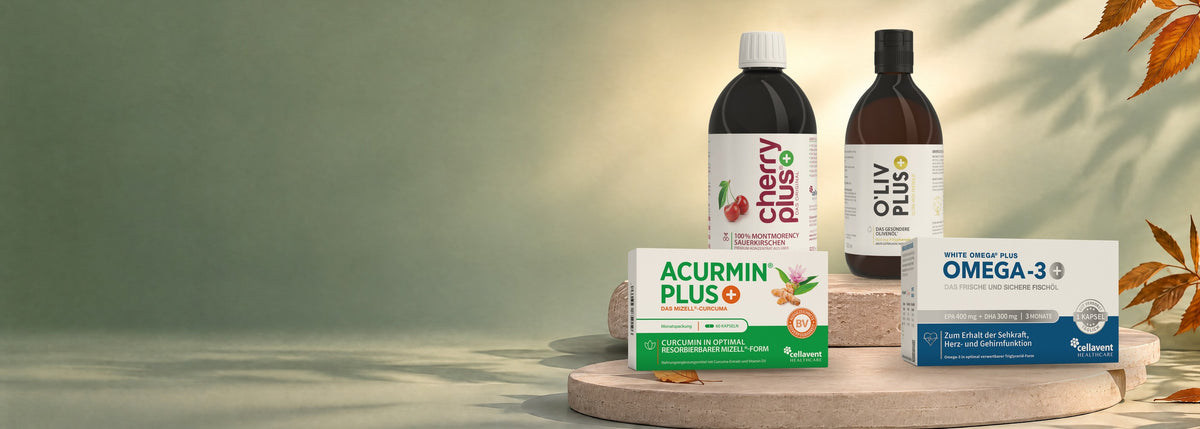 Herbst-Aktion bei Cellavent: Cherry PLUS, O'Liv PLUS, Acurmin PLUS und White Omega PLUS auf Steinpodesten