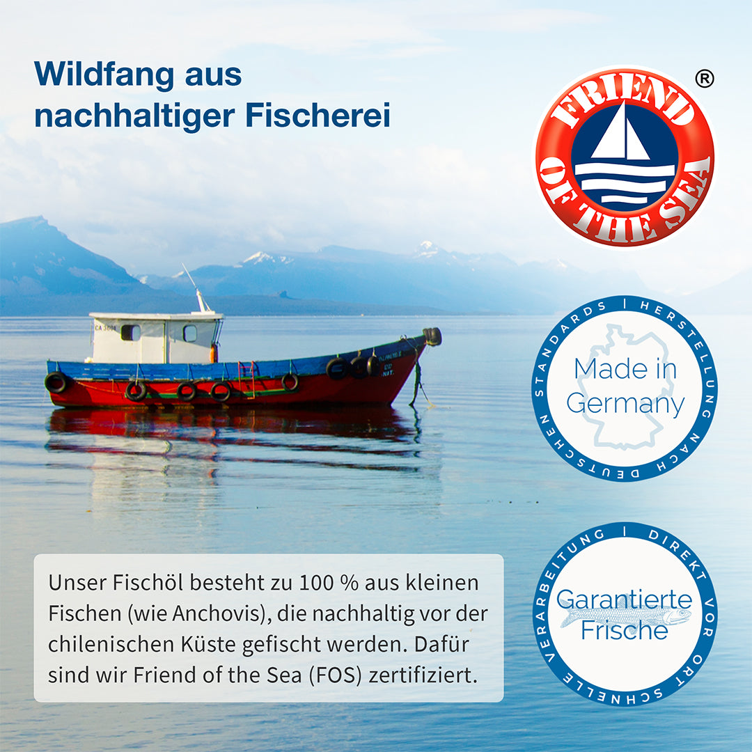 Fischerboot vor der chilenischen Küste: Fischöl aus Wildfang, zertifiziert nach Friend of the Sea