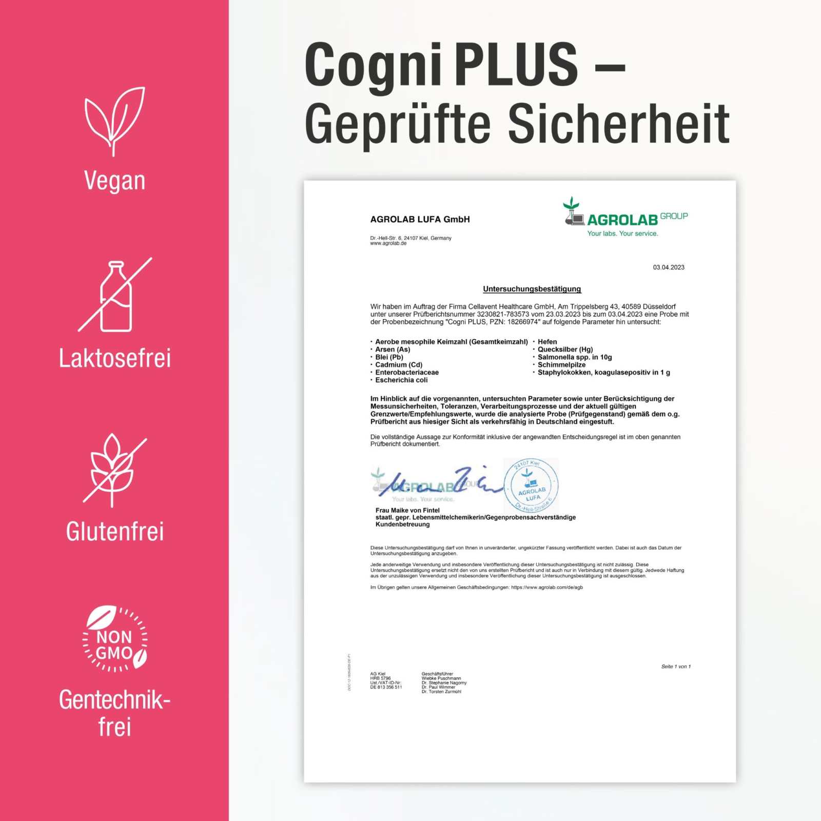 Ginkgo Kapseln mit Bacopa & Ginseng – Cogni PLUS - Cellavent Healthcare