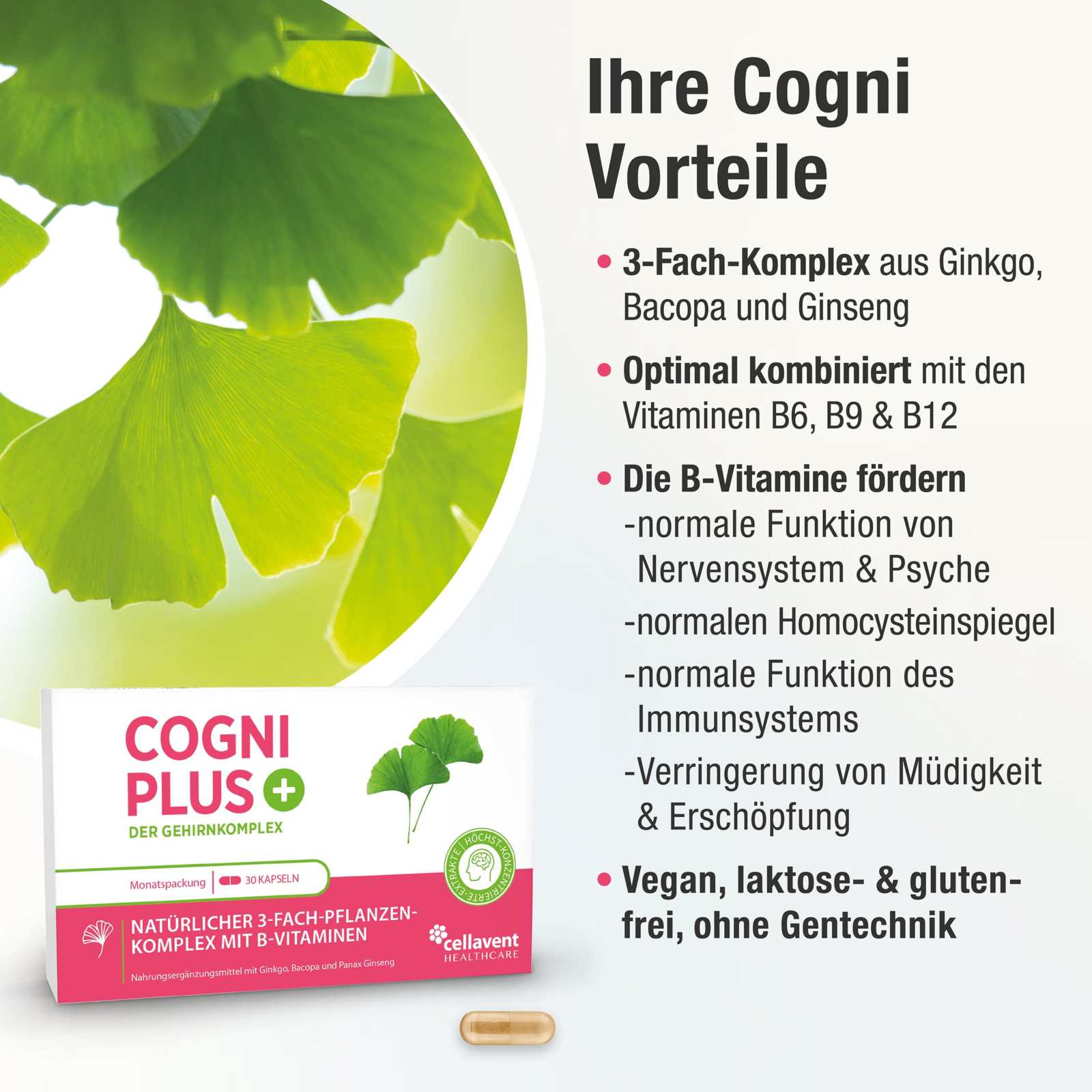 Ginkgo Kapseln mit Bacopa & Ginseng – Cogni PLUS - Cellavent Healthcare
