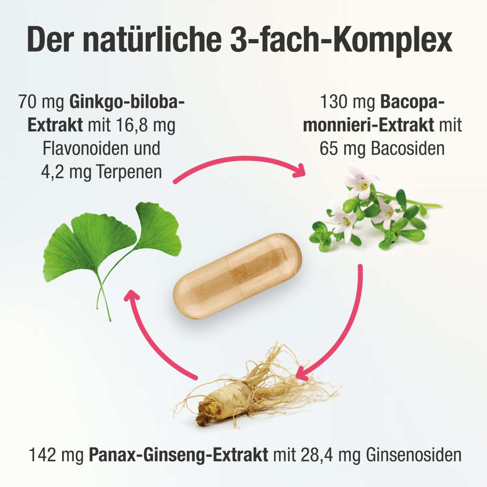 Ginkgo Kapseln mit Bacopa & Ginseng – Cogni PLUS - Cellavent Healthcare