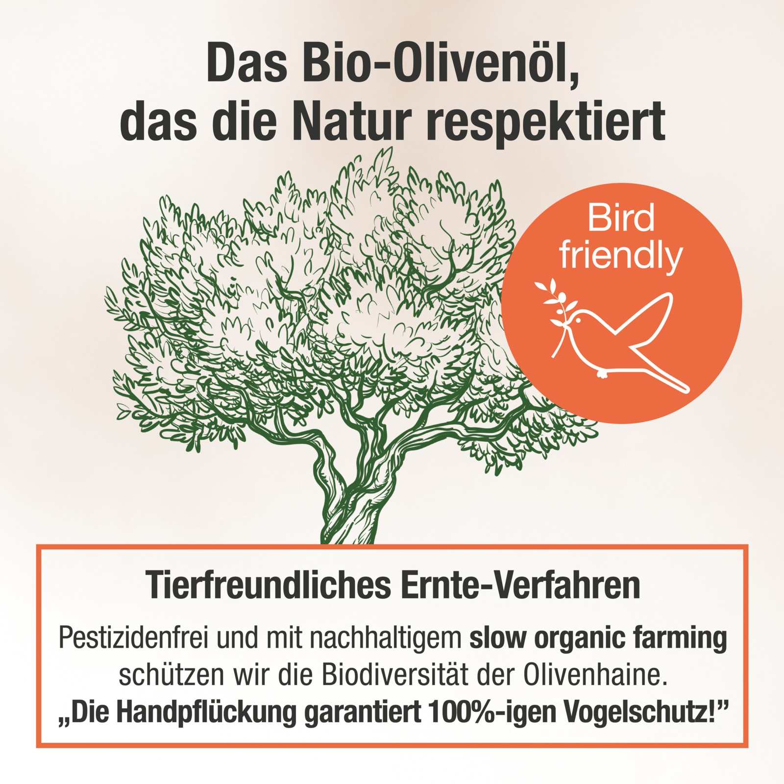 High Phenolic Olivenöl - O'Liv Daily - Cellavent Healthcare