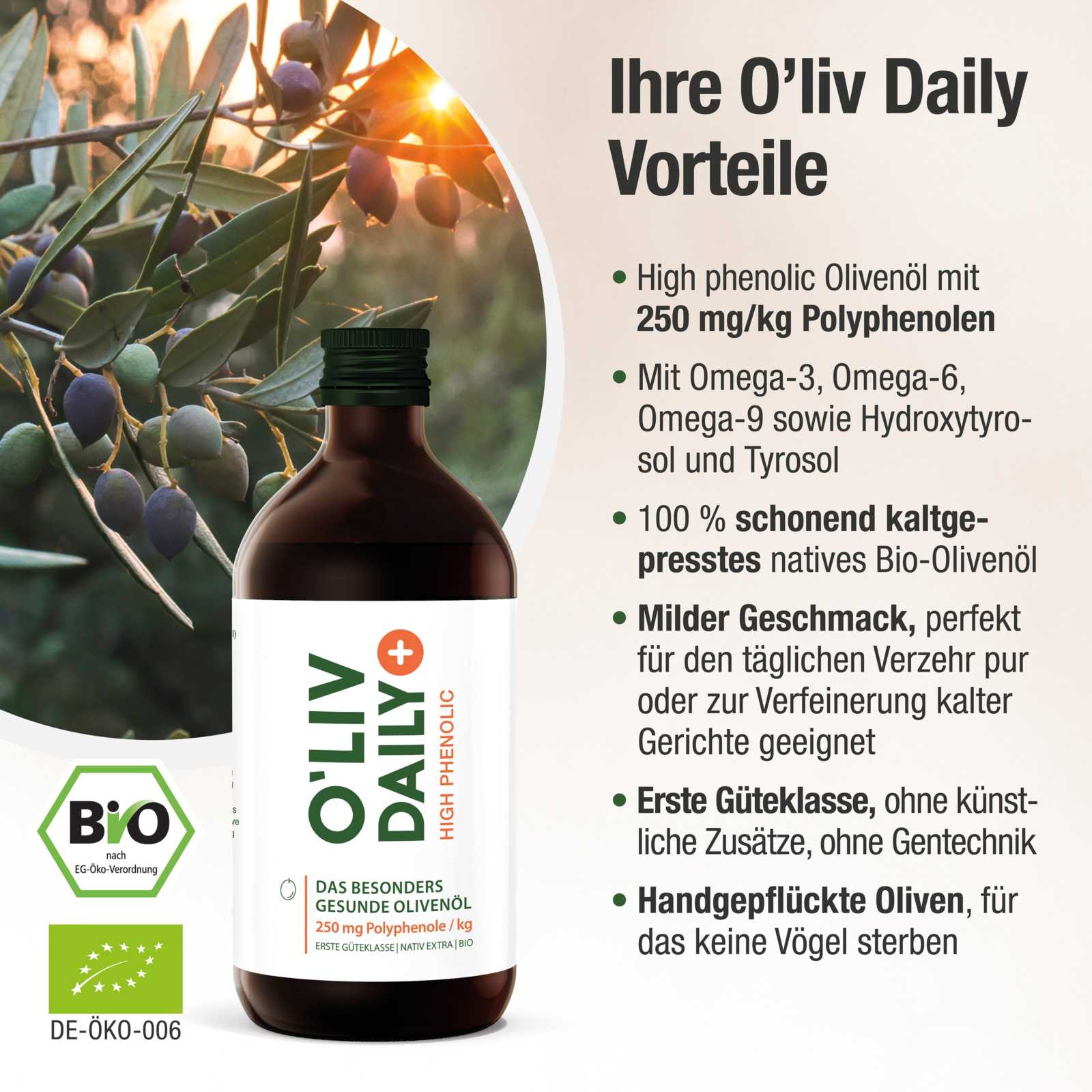 High Phenolic Olivenöl - O'Liv Daily - Cellavent Healthcare