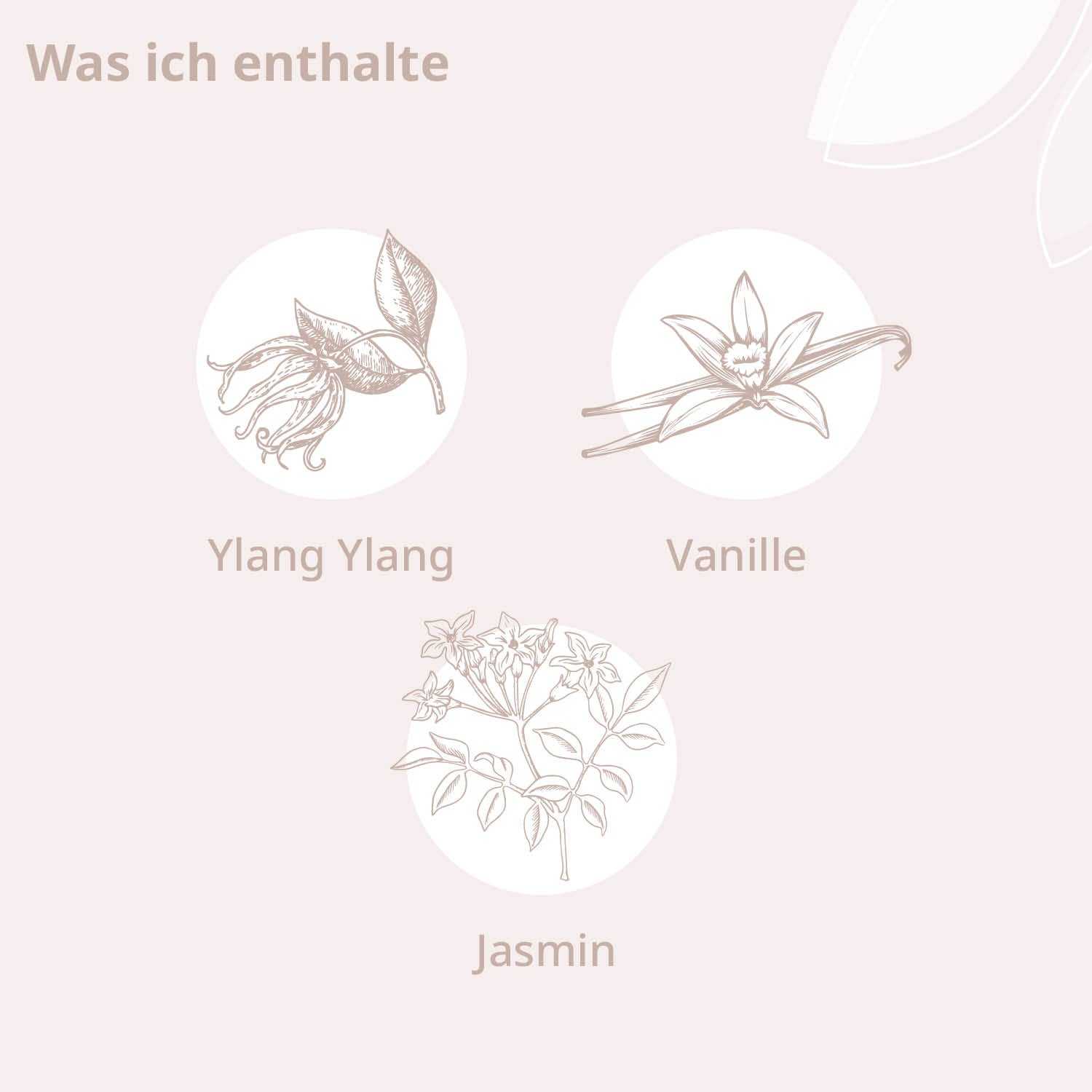 Inhaltsstoffe: Ylang Ylang, Vanille und Jasmin