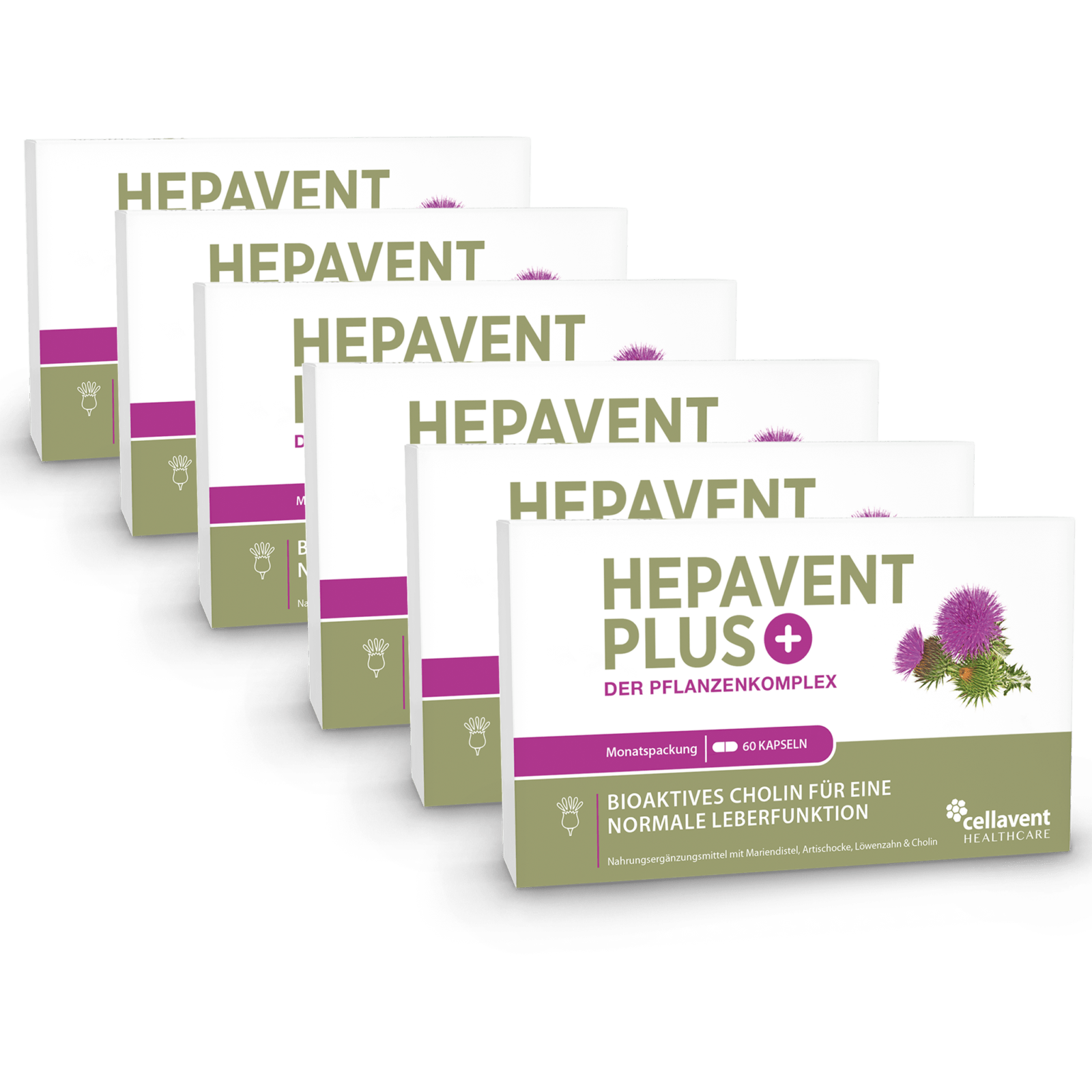 Leberkur Cholin Kapseln - Hepavent PLUS - Cellavent Healthcare