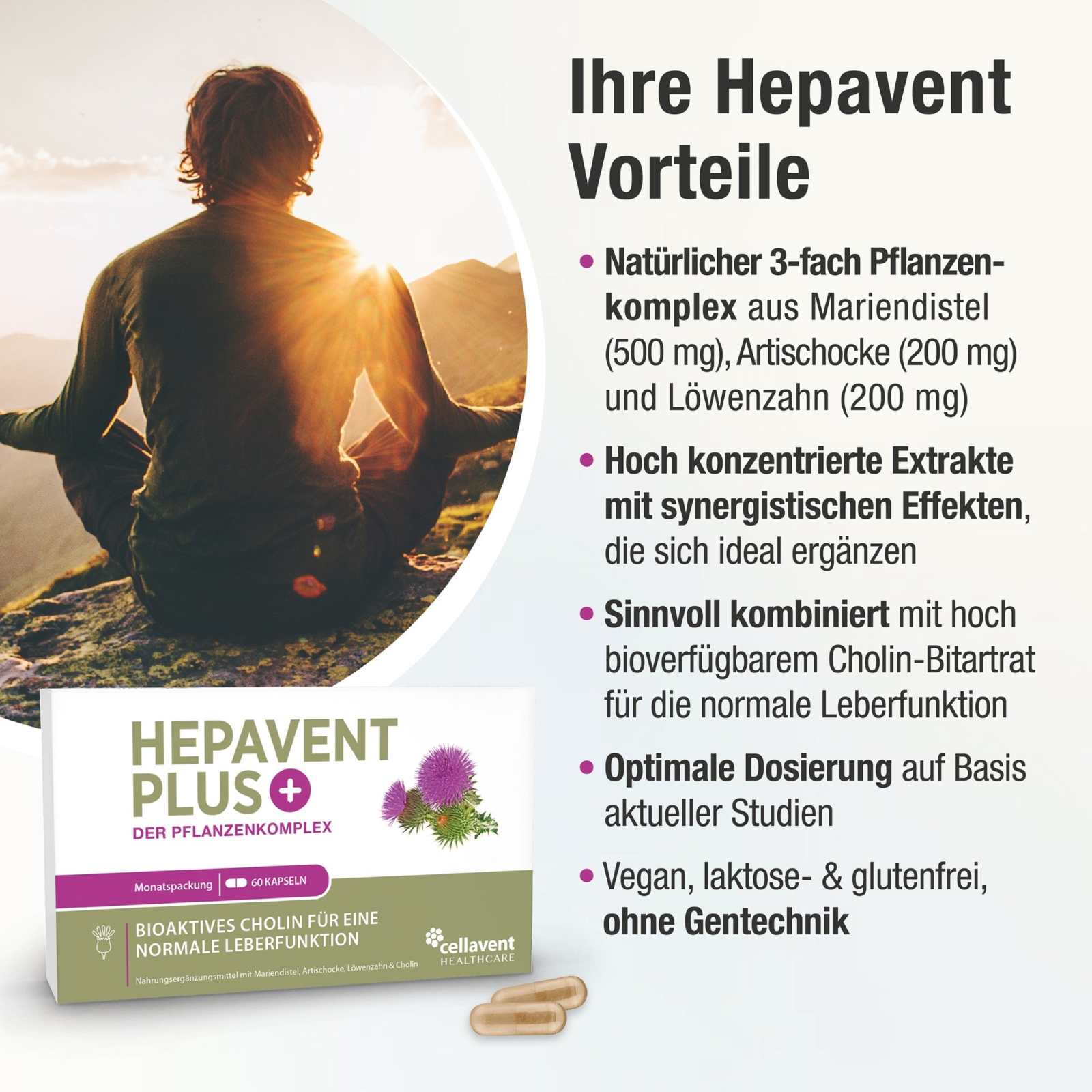 Leberkur Cholin Kapseln - Hepavent PLUS - Cellavent Healthcare