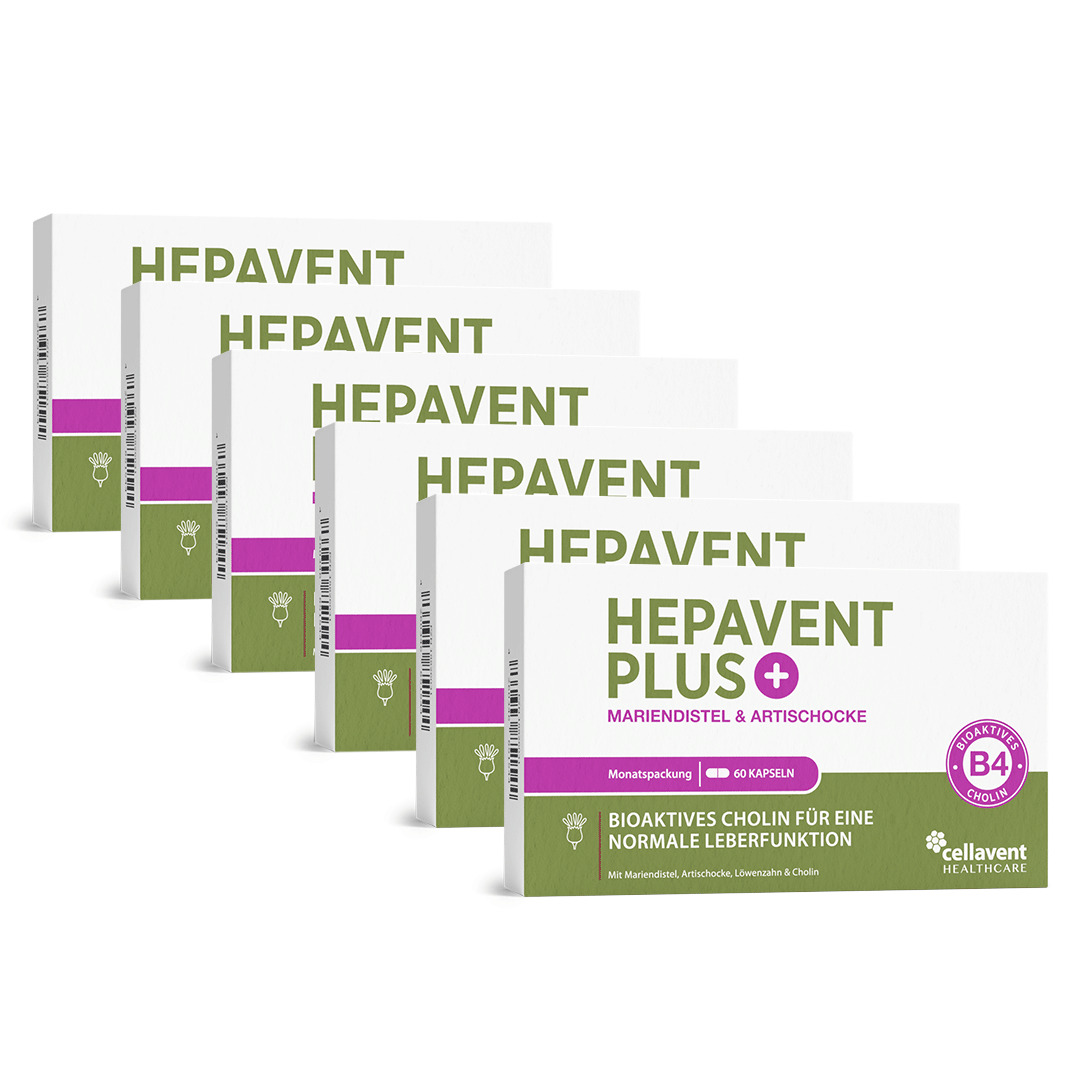 Leberkur Cholin Kapseln - Hepavent PLUS - Cellavent Healthcare