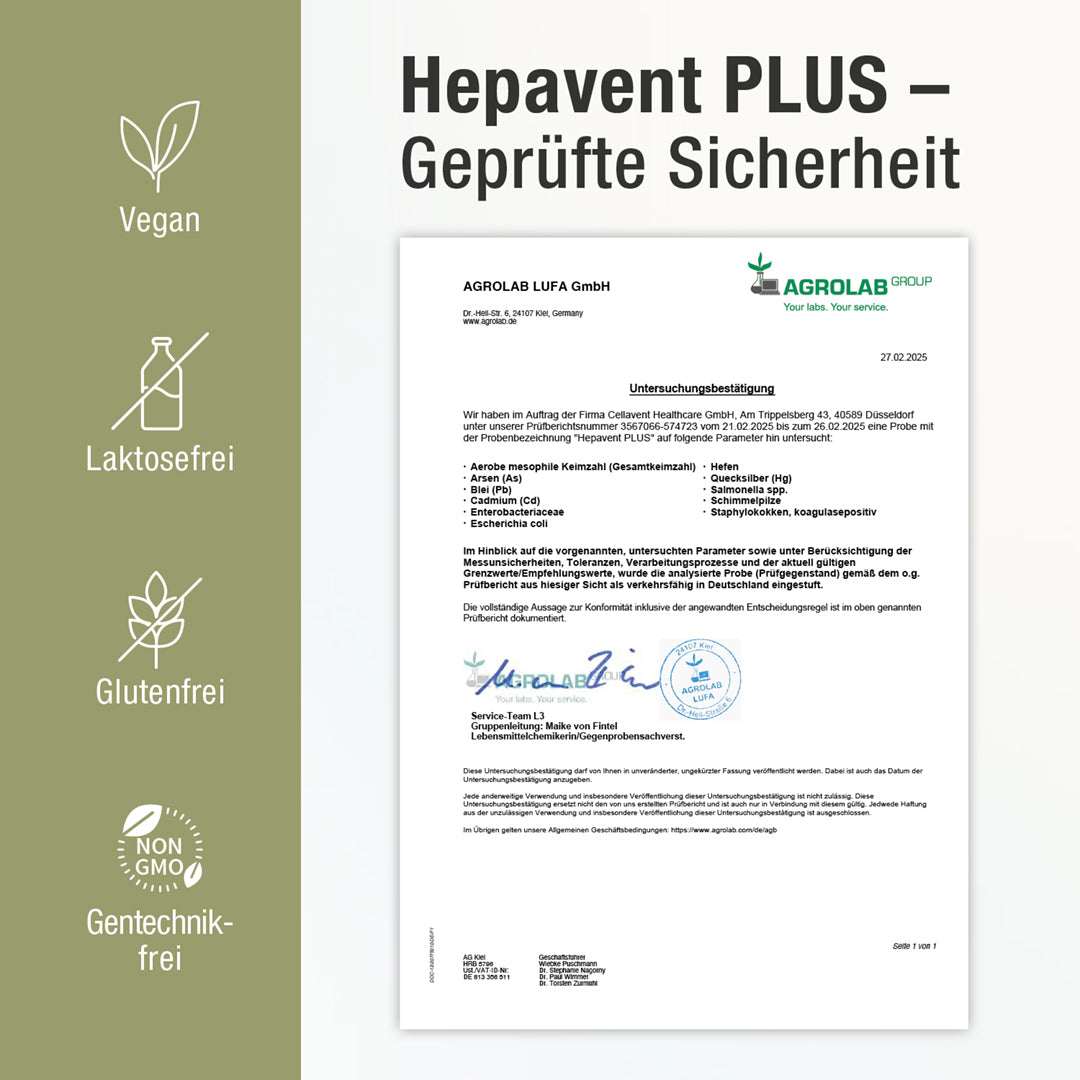 Leberkur Cholin Kapseln - Hepavent PLUS - Cellavent Healthcare