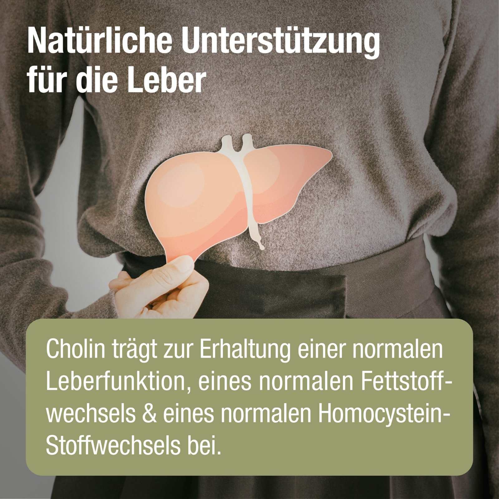 Leberkur Cholin Kapseln - Hepavent PLUS - Cellavent Healthcare