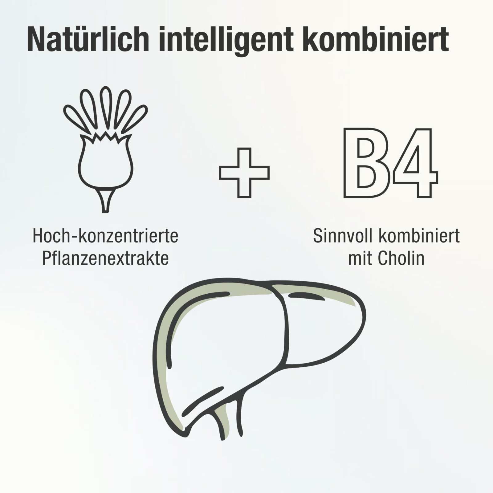 Leberkur Cholin Kapseln - Hepavent PLUS - Cellavent Healthcare