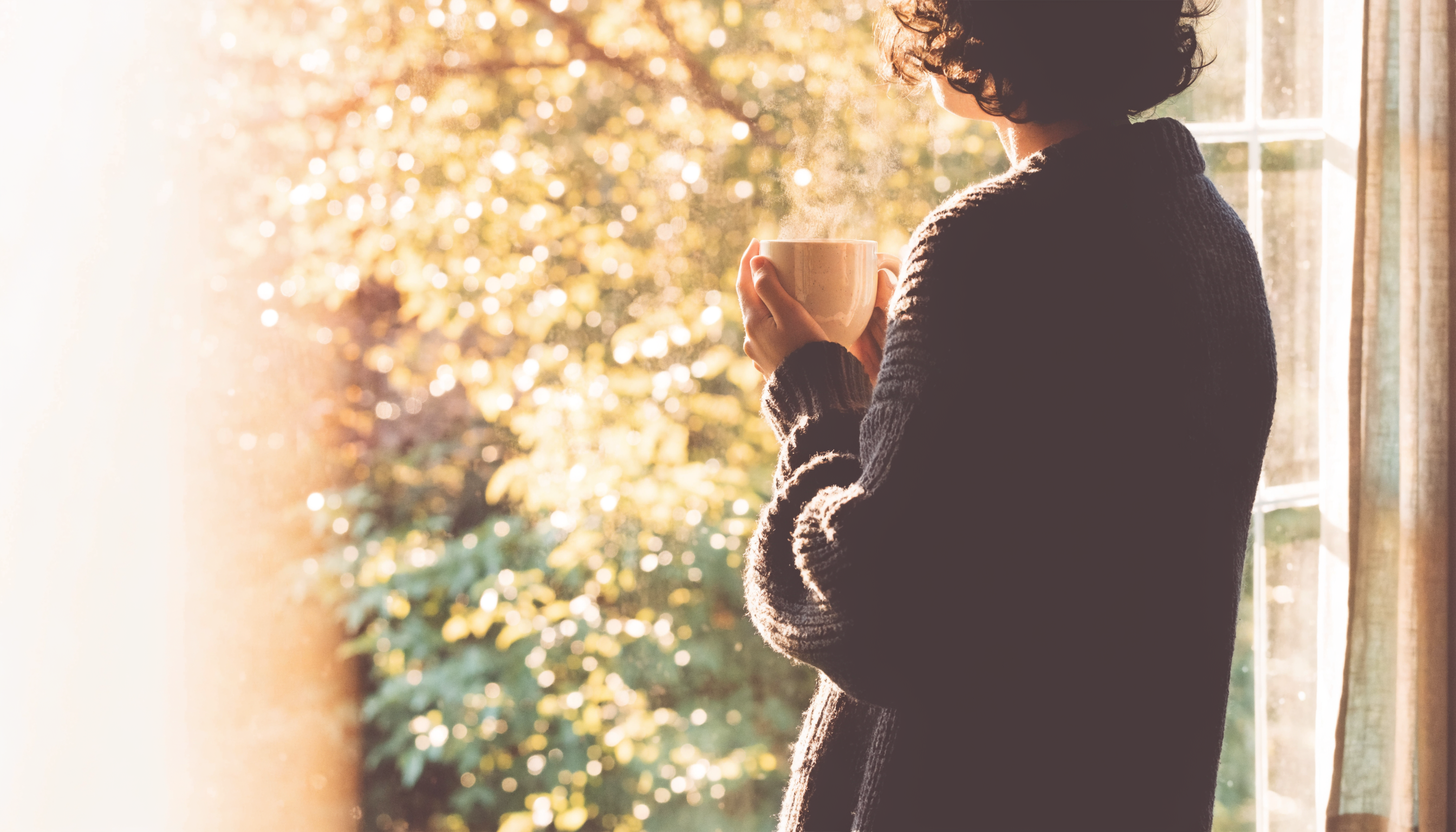 Person im Strickpullover steht mit einer Tasse am Fenster, warmes Herbstlicht faellt herein