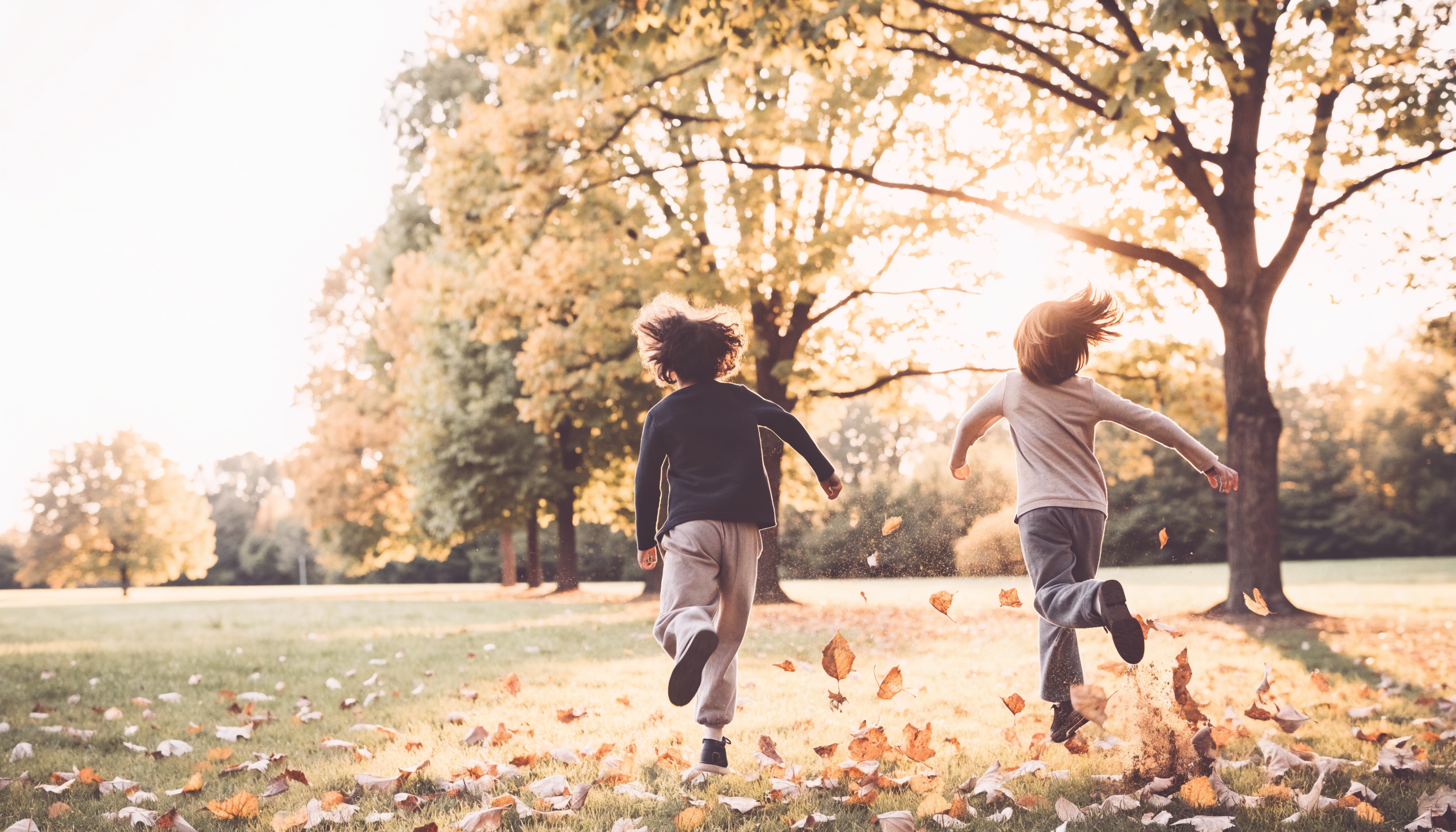 Zwei Kinder rennen von hinten gesehen durch Herbstlaub im Park, warmes Gegenlicht