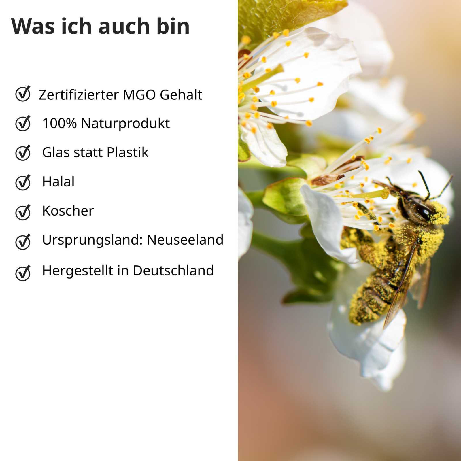 Manuka Honig für Kinder 400 MGO - Cellavent Healthcare
